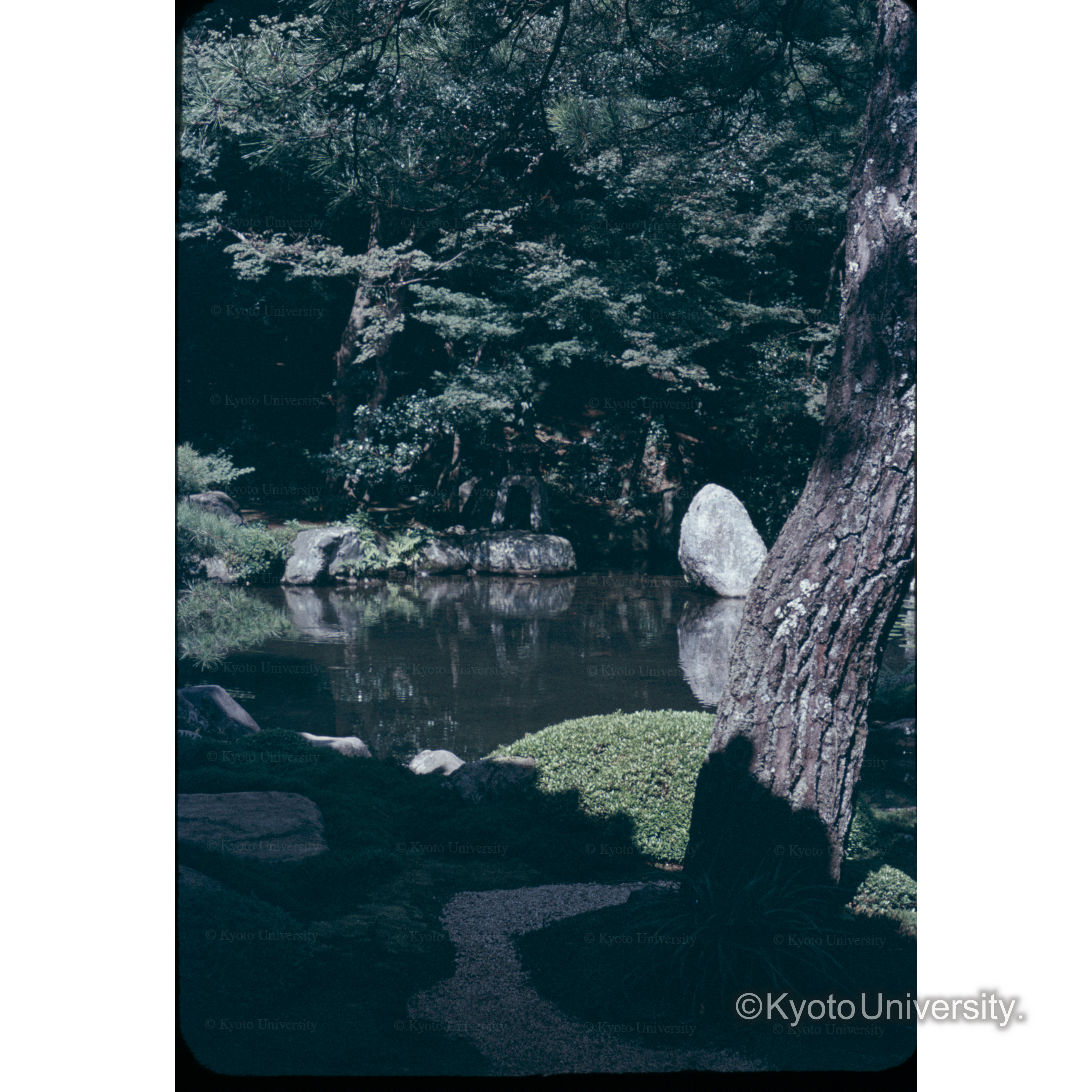 蓮華寺(三宅八幡) (1)