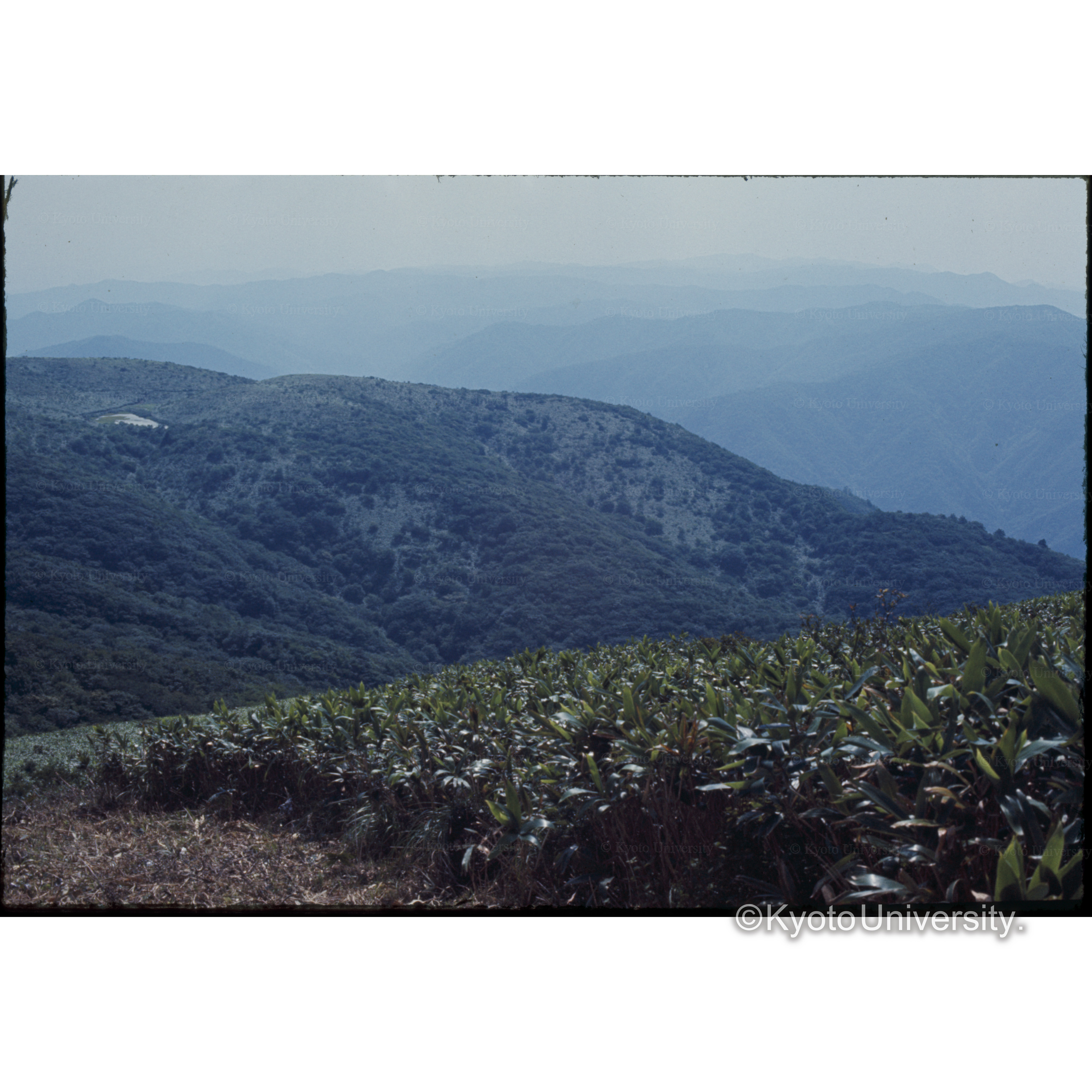 サンケイ・バレイ（□□予定地) (1)