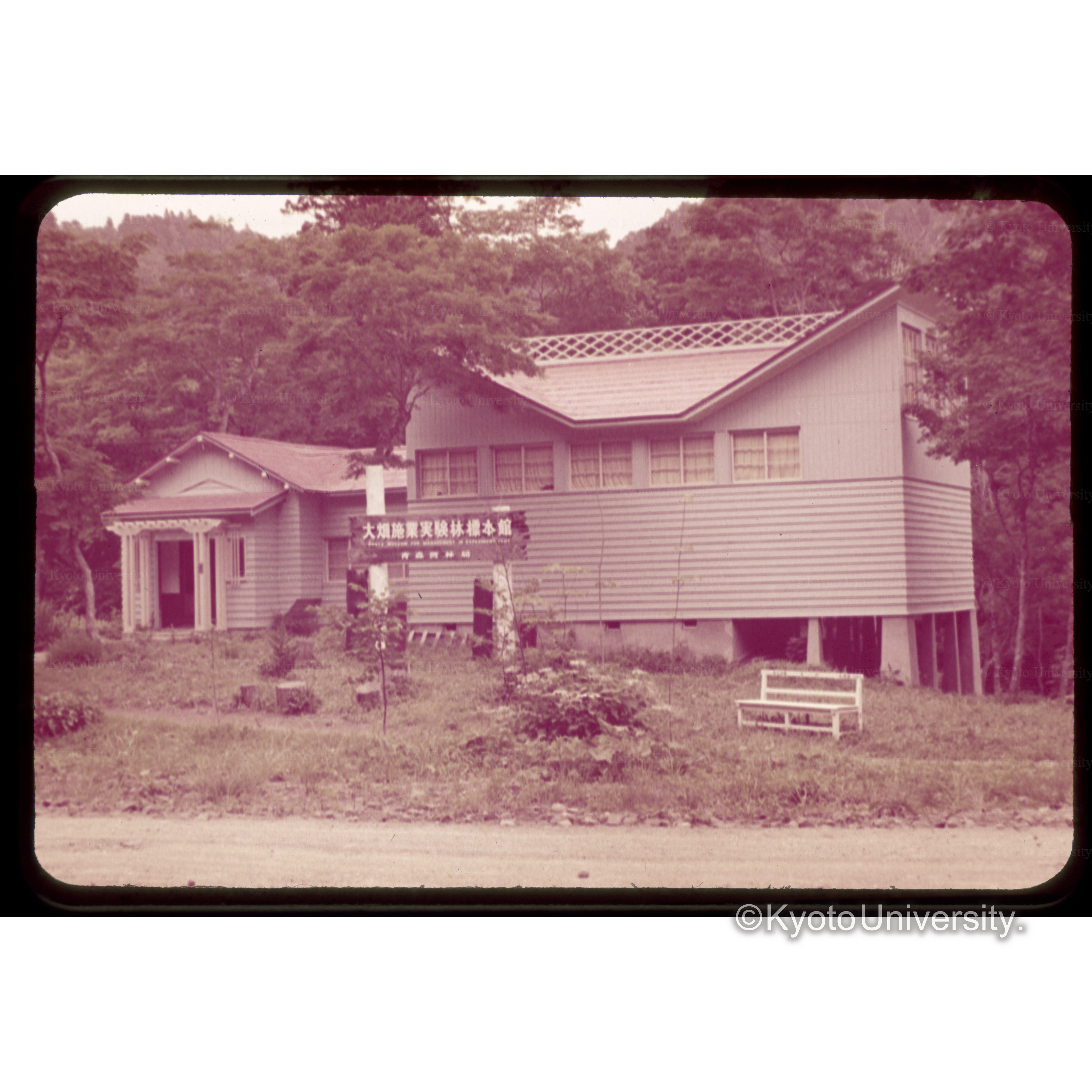 青森営林署の大畑実験林の森林博物館 (1)