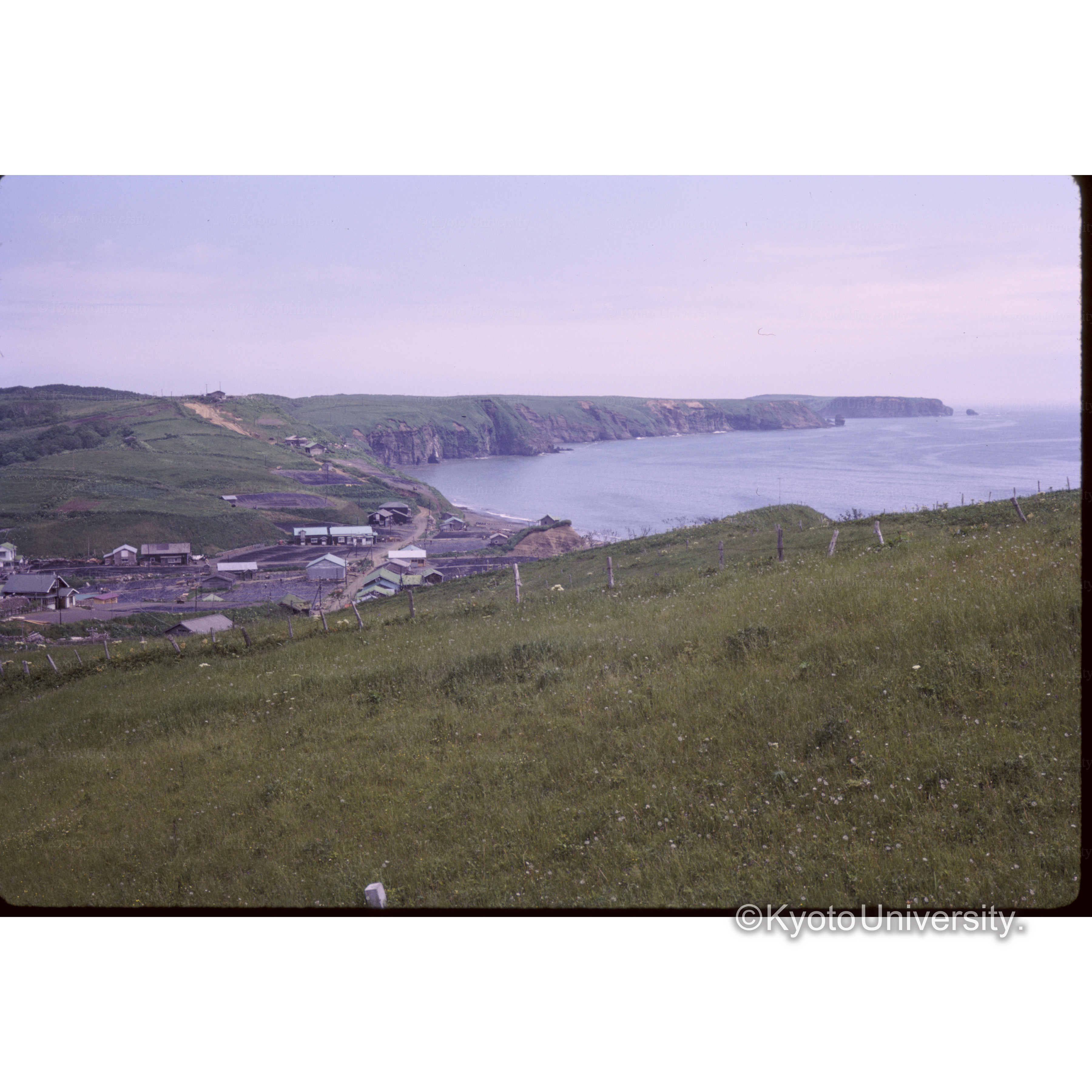 浜中キリタップの湿原 (1)
