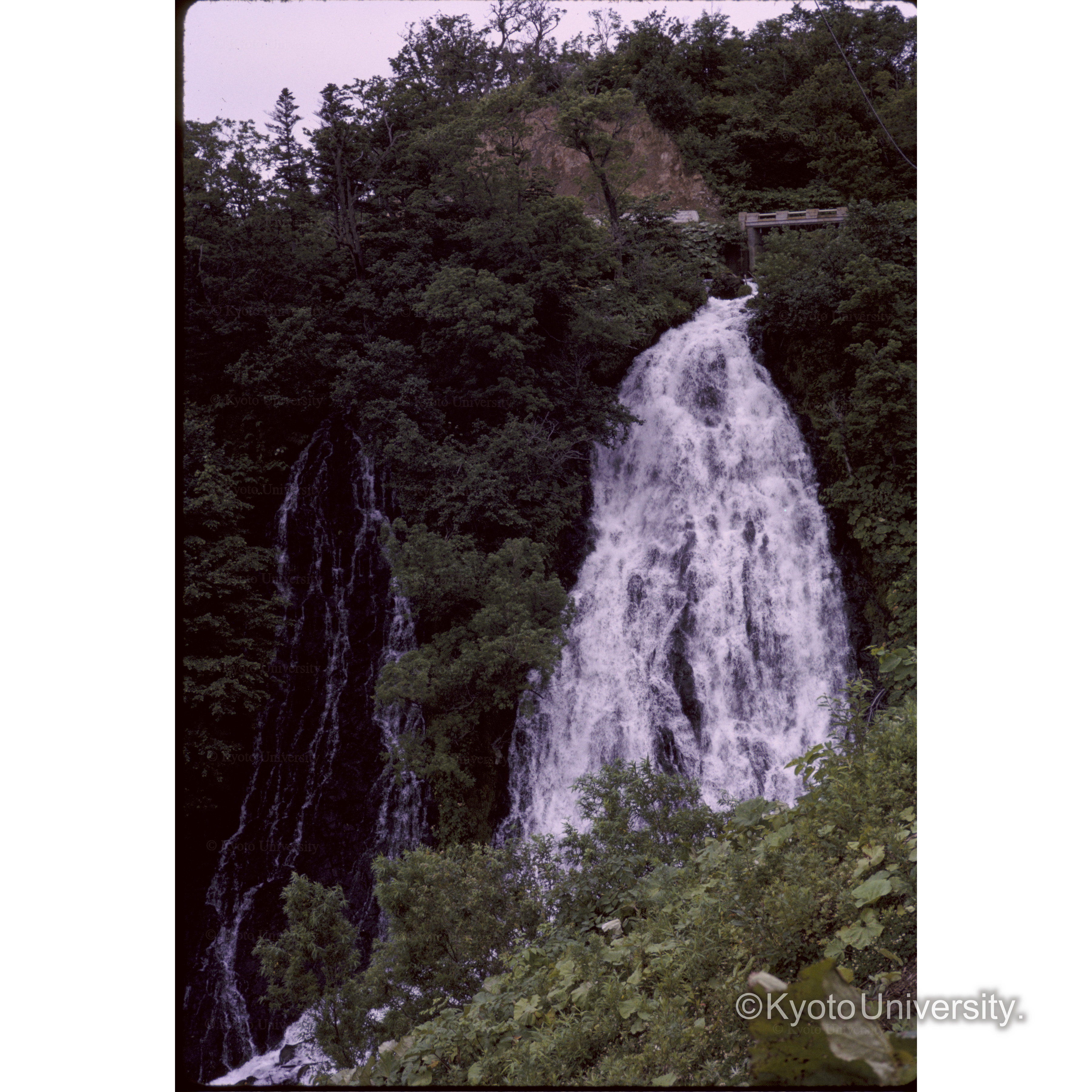 オシンコシンの滝 (1)