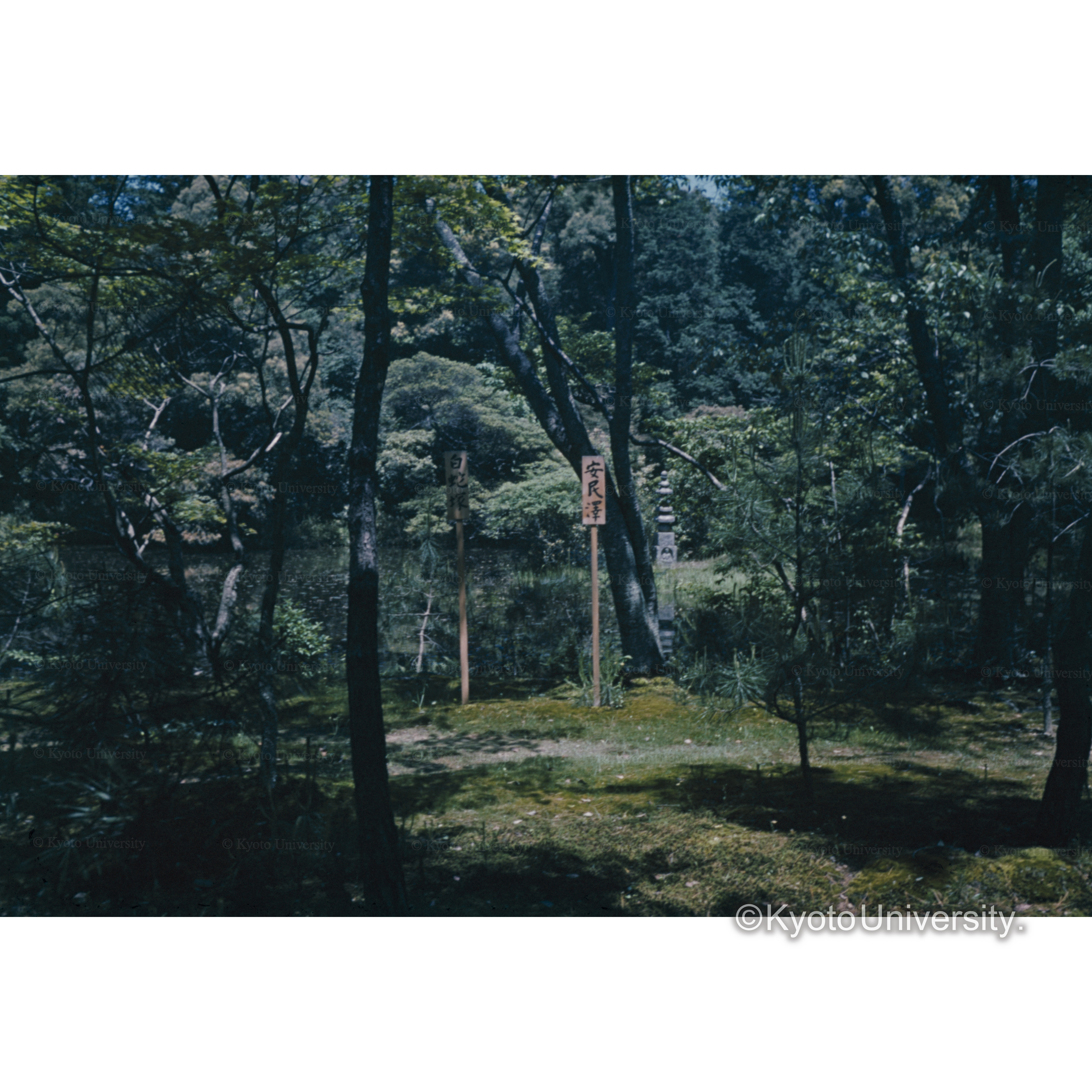 金閣寺　安眠沢 (1)