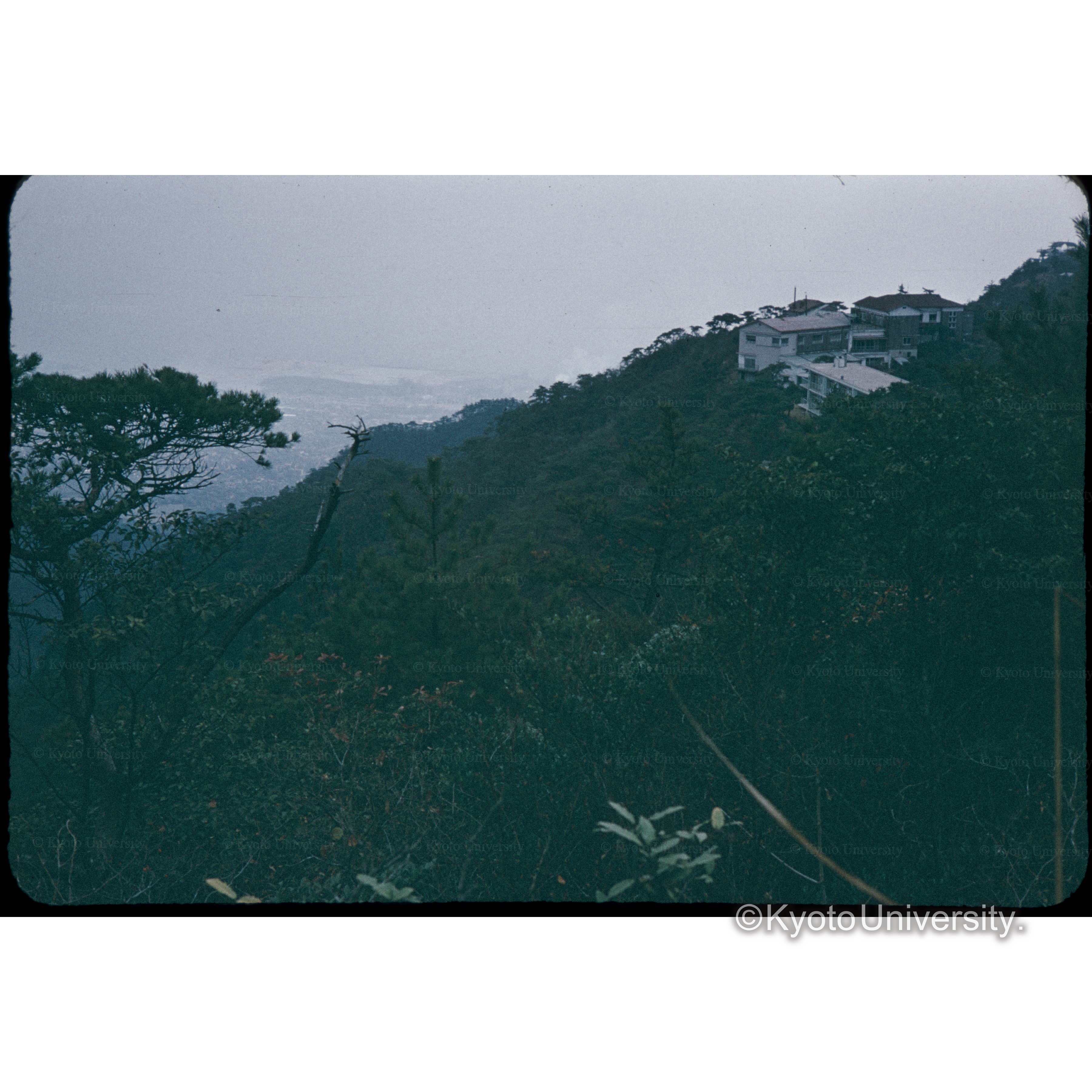 六甲　マヤ山？ (1)