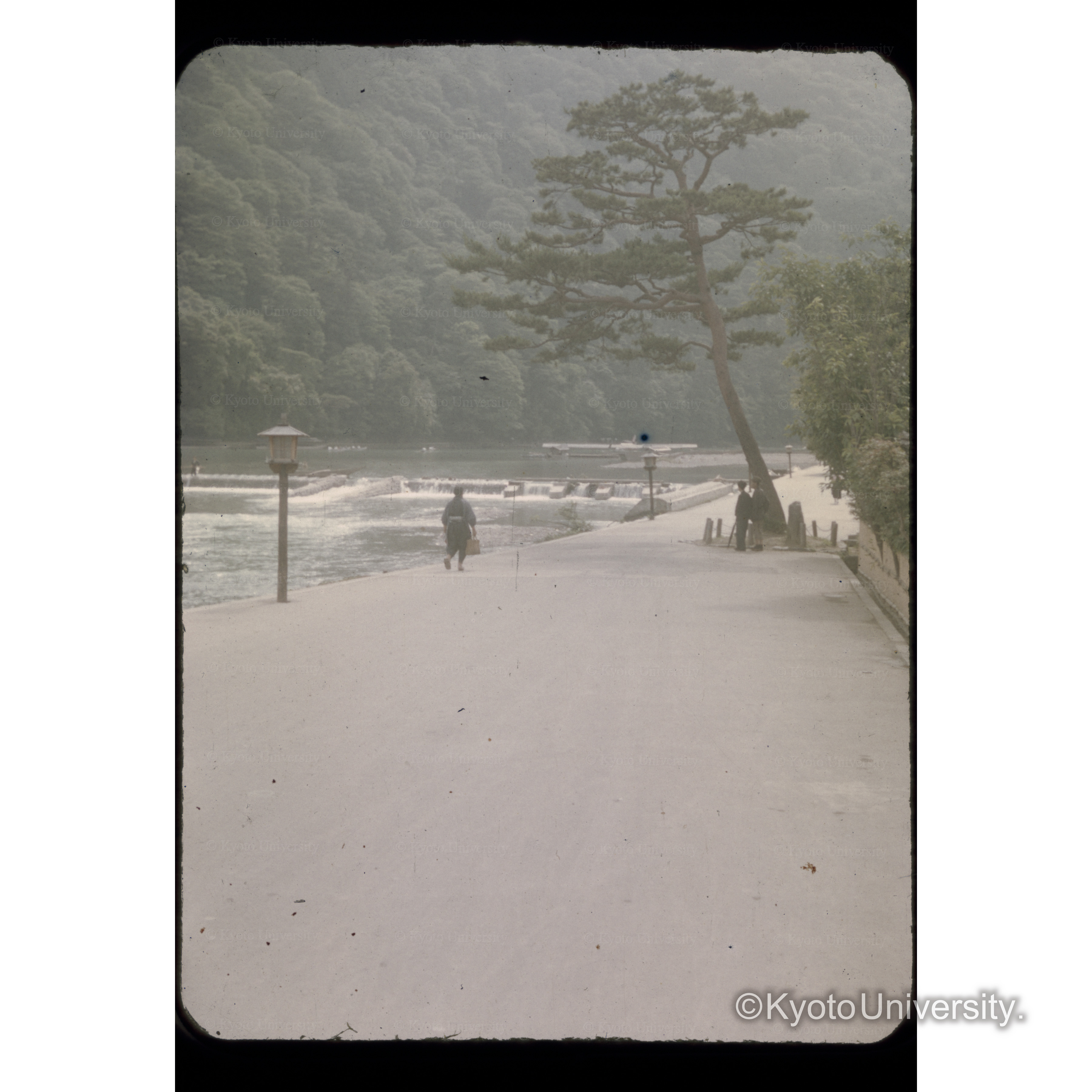 〔嵐山公園付近〕 (1)