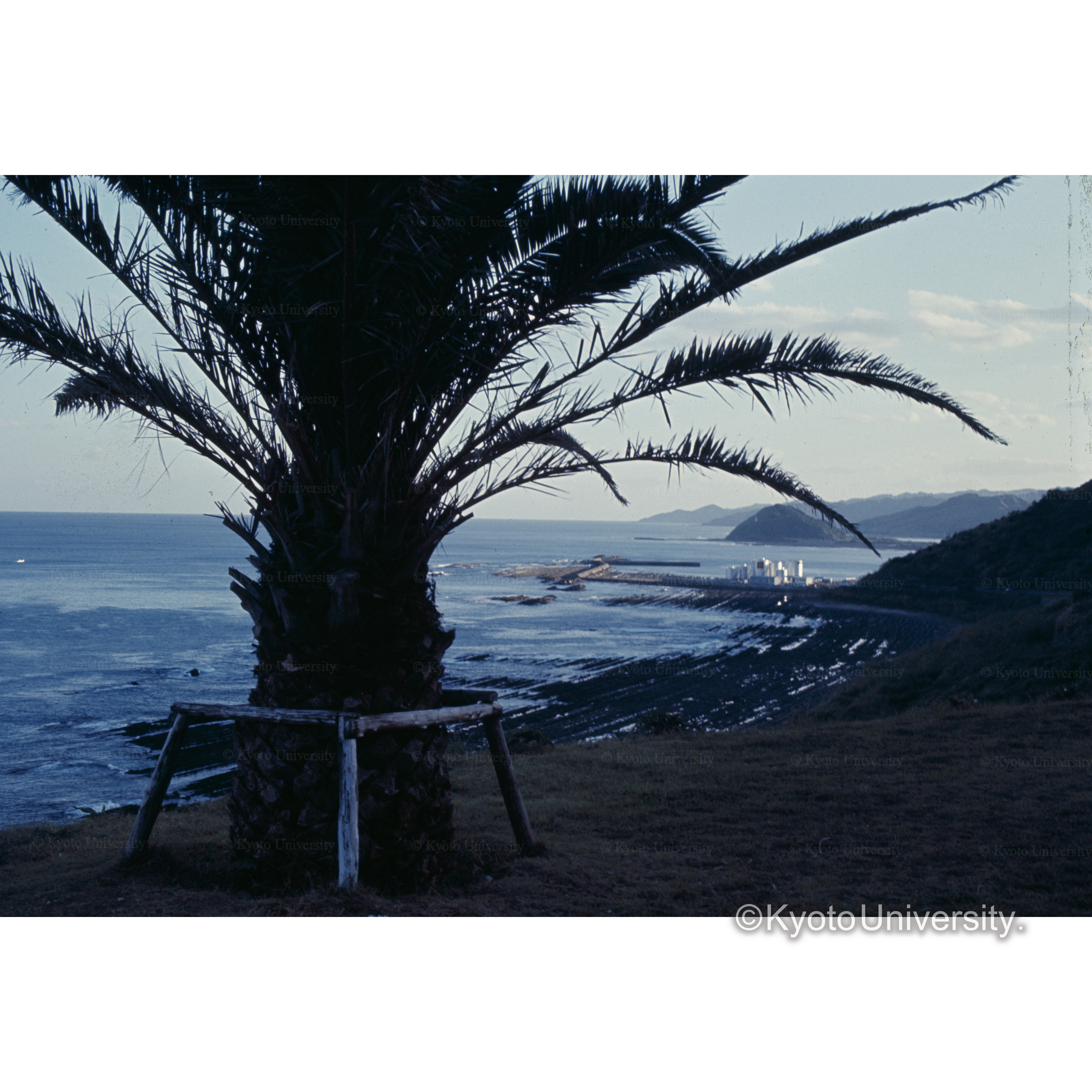 日南海岸堀切峠 (1)