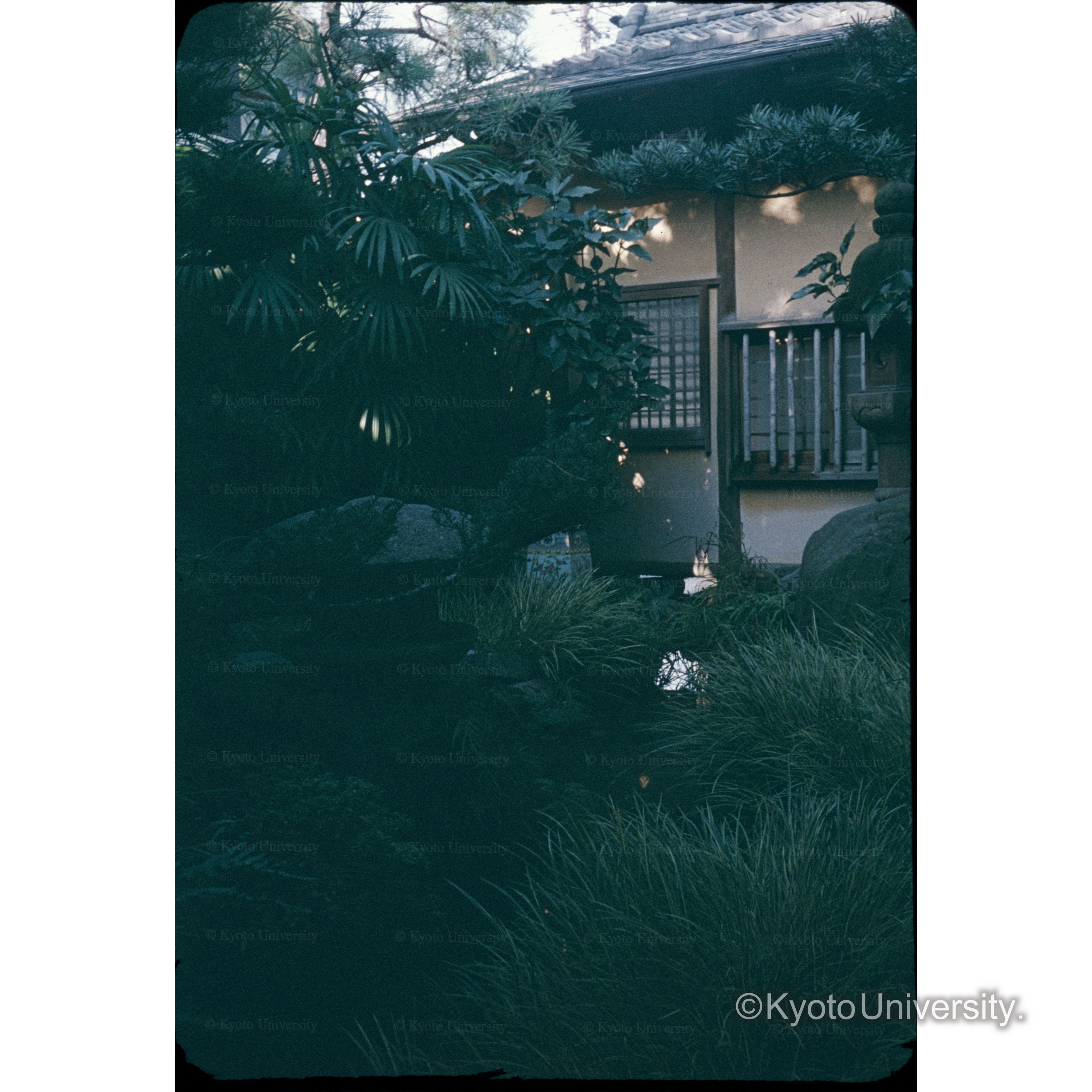 徳山.松重旅館 (1)