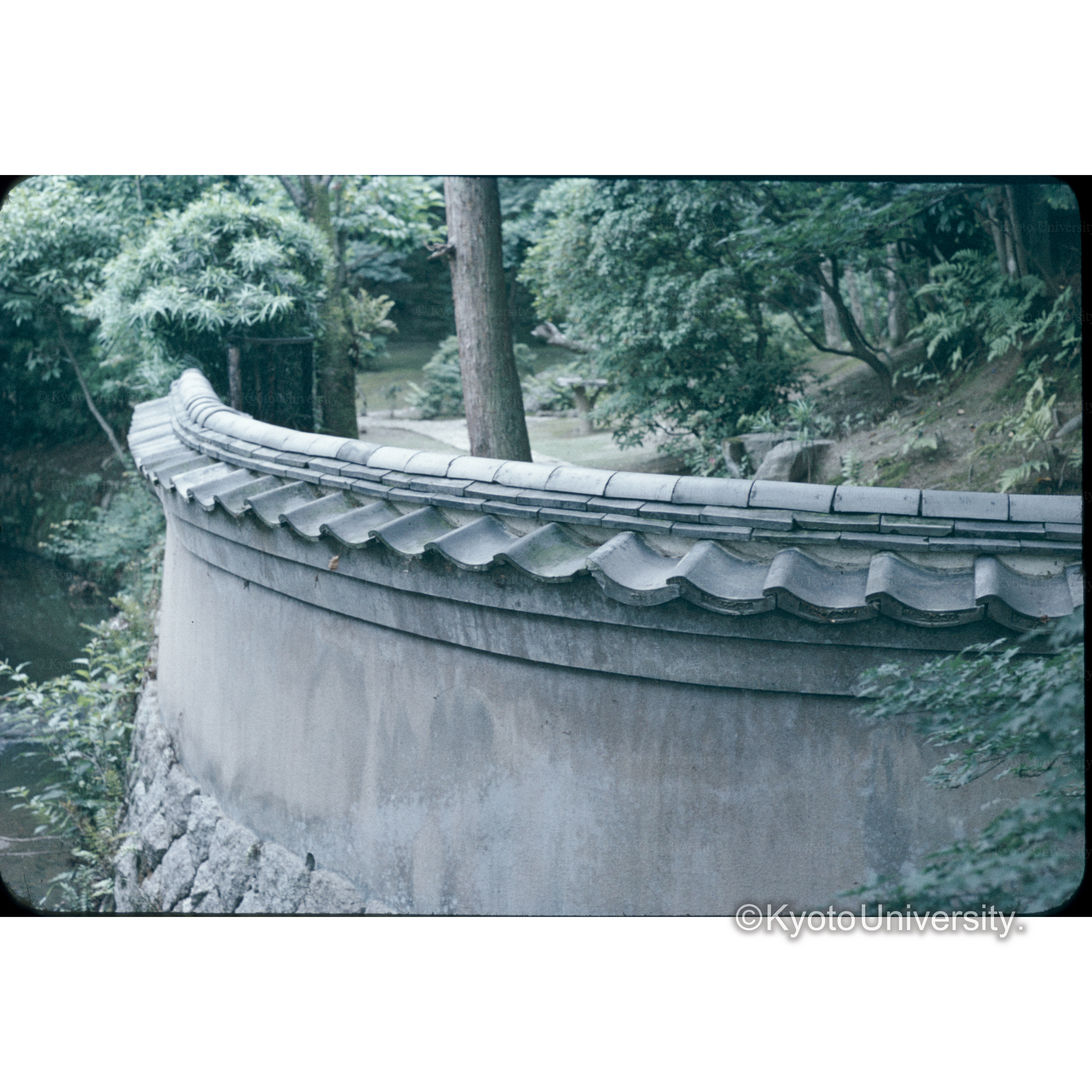 依水園入口塀 (1)