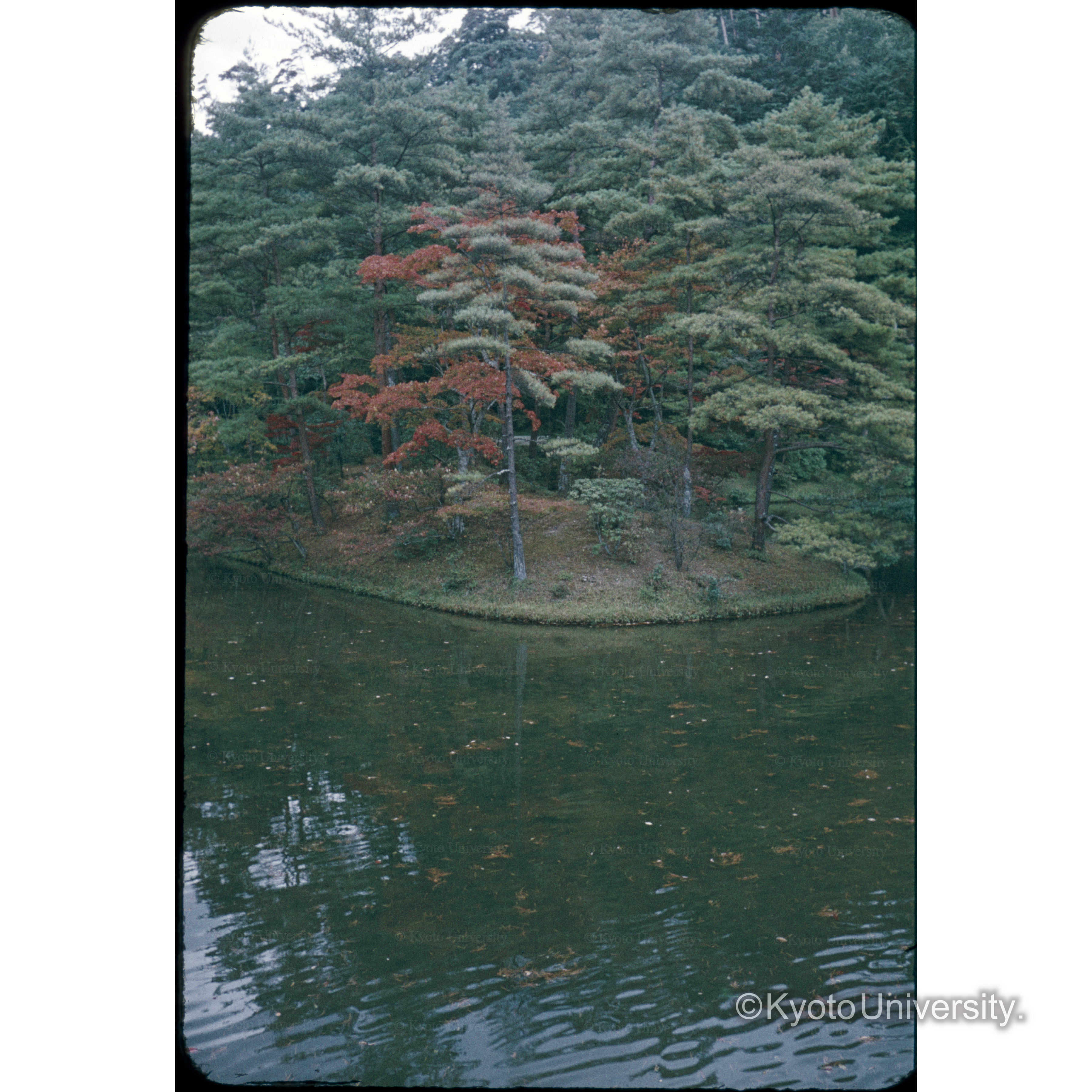 修学院上もみじ谷 (1)