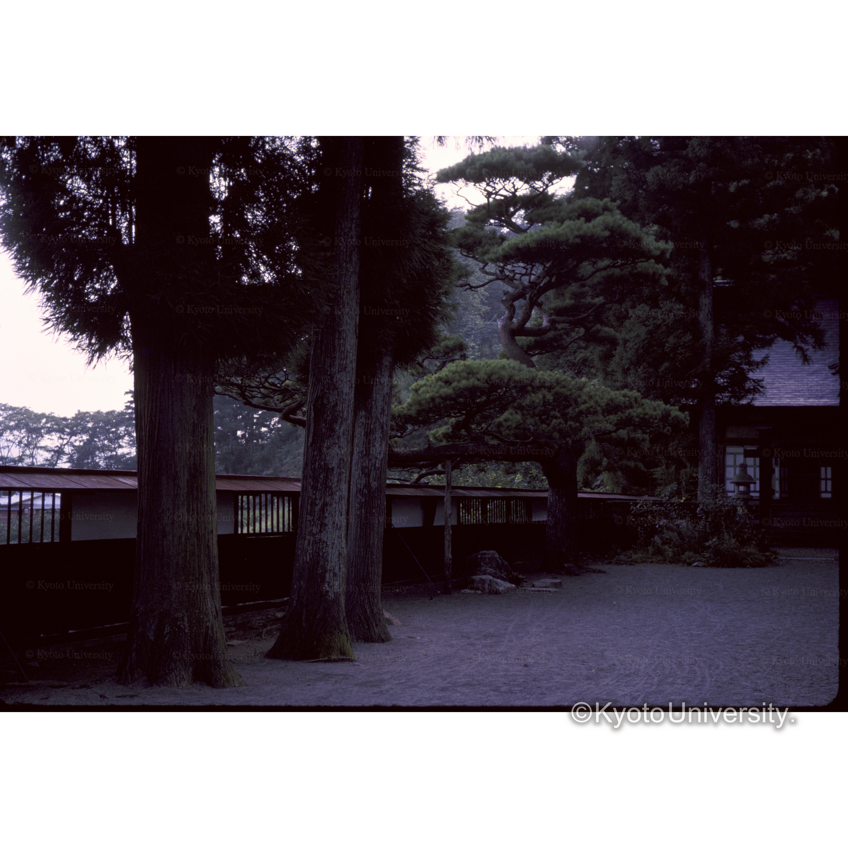 義仲神社.宮之越 (1)