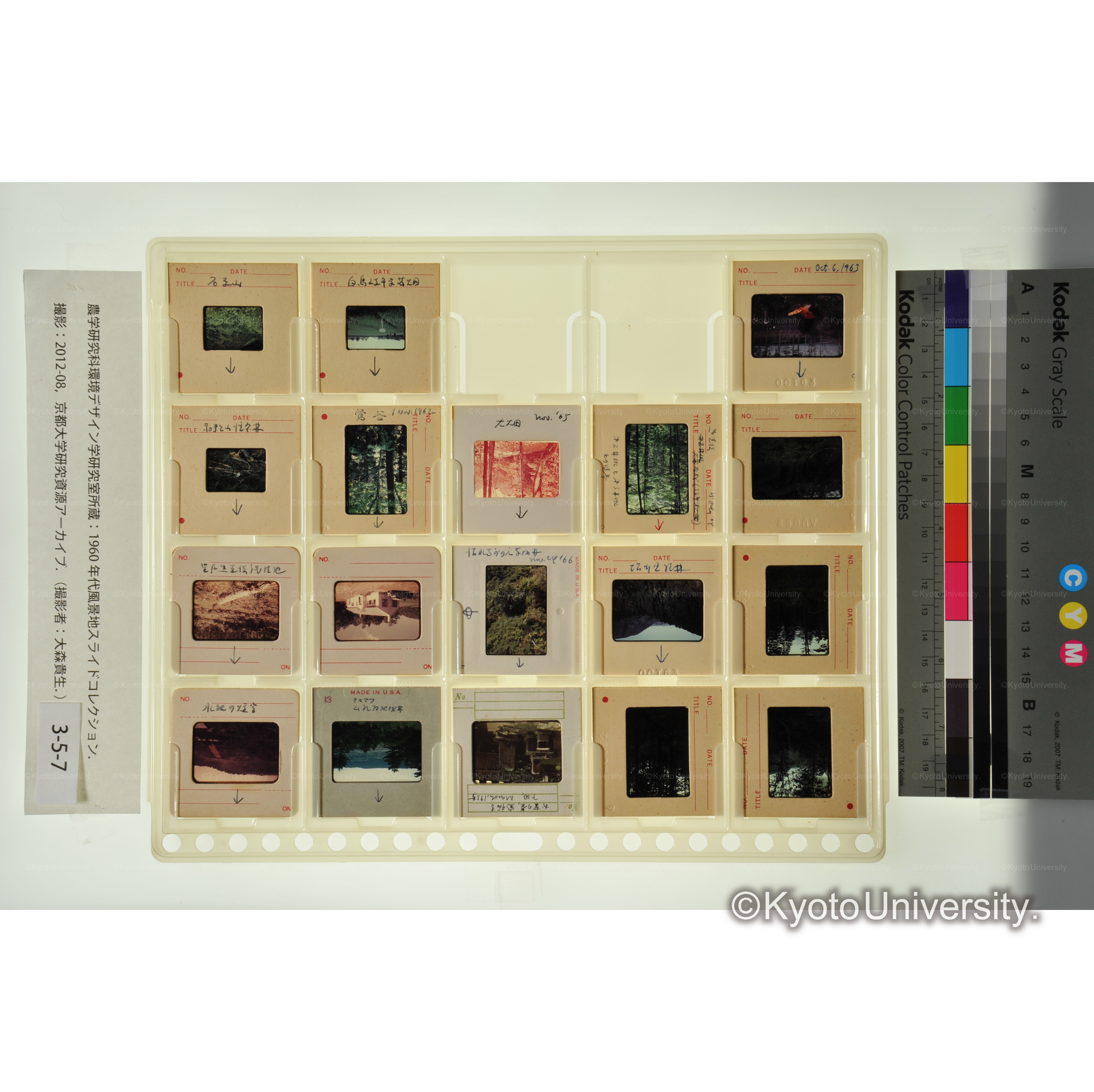 〔山林　苗畑、演習林、下田〕 (1)