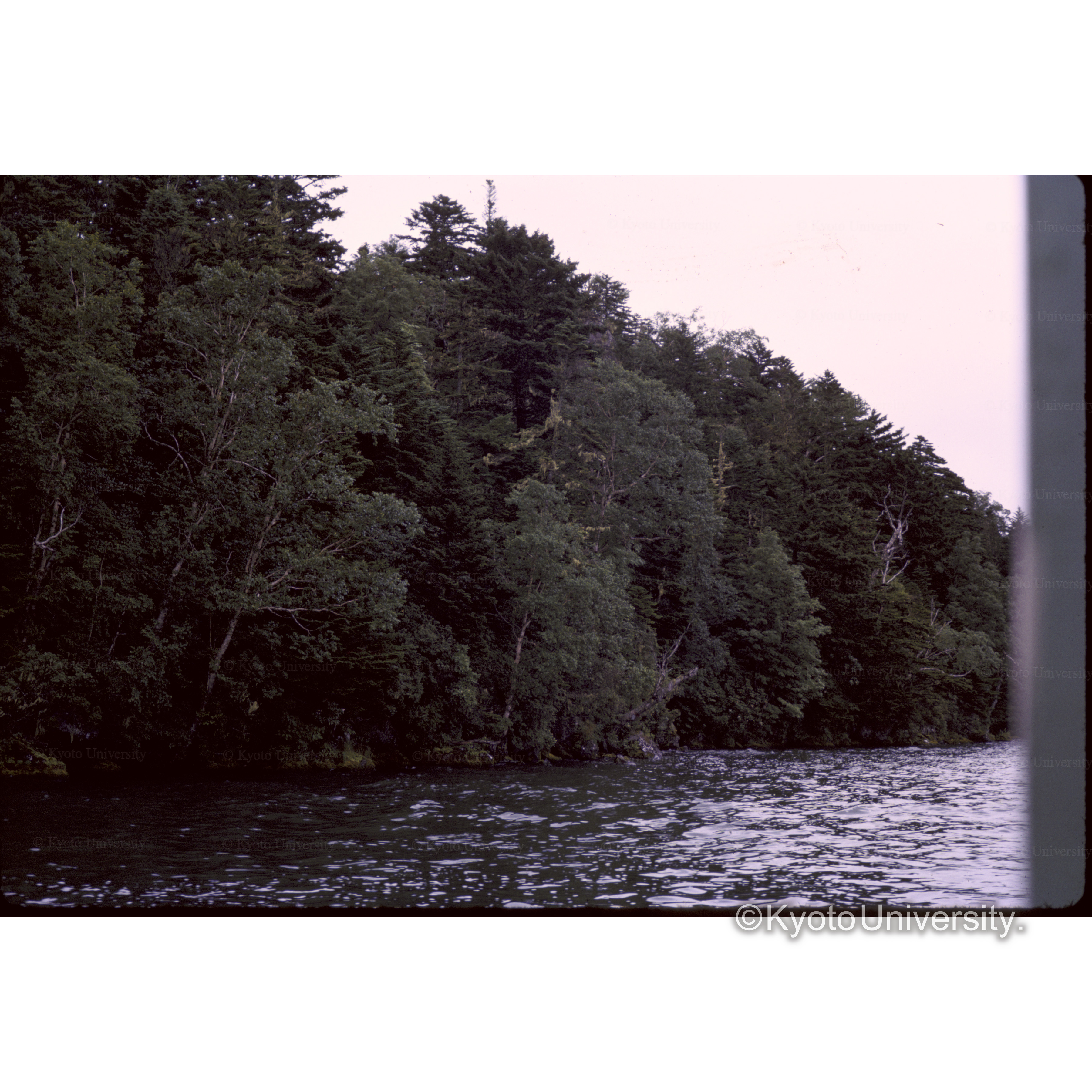 船からみた雄阿寒岳の裾 (1)