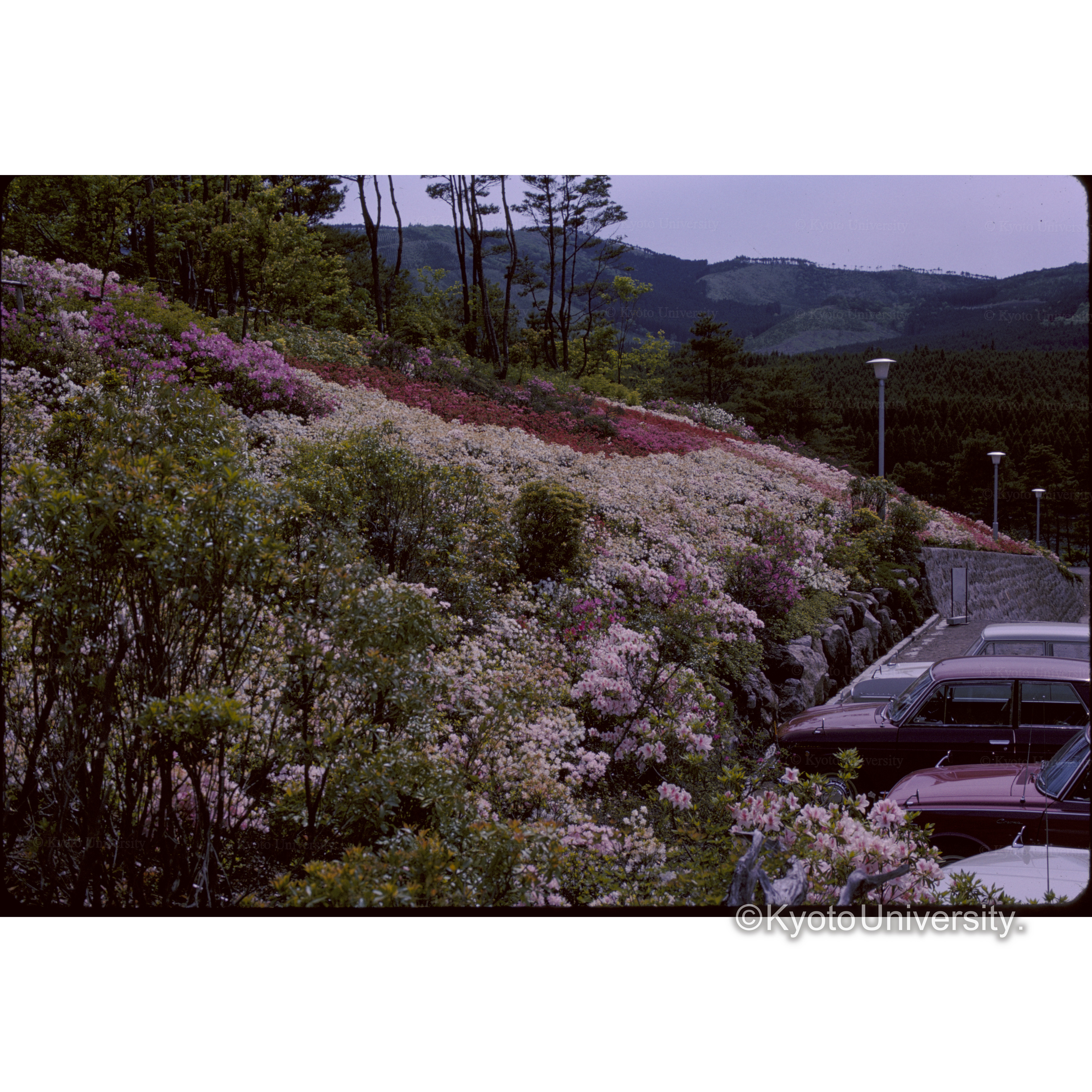 Kuju Lake Side Hotel (1)