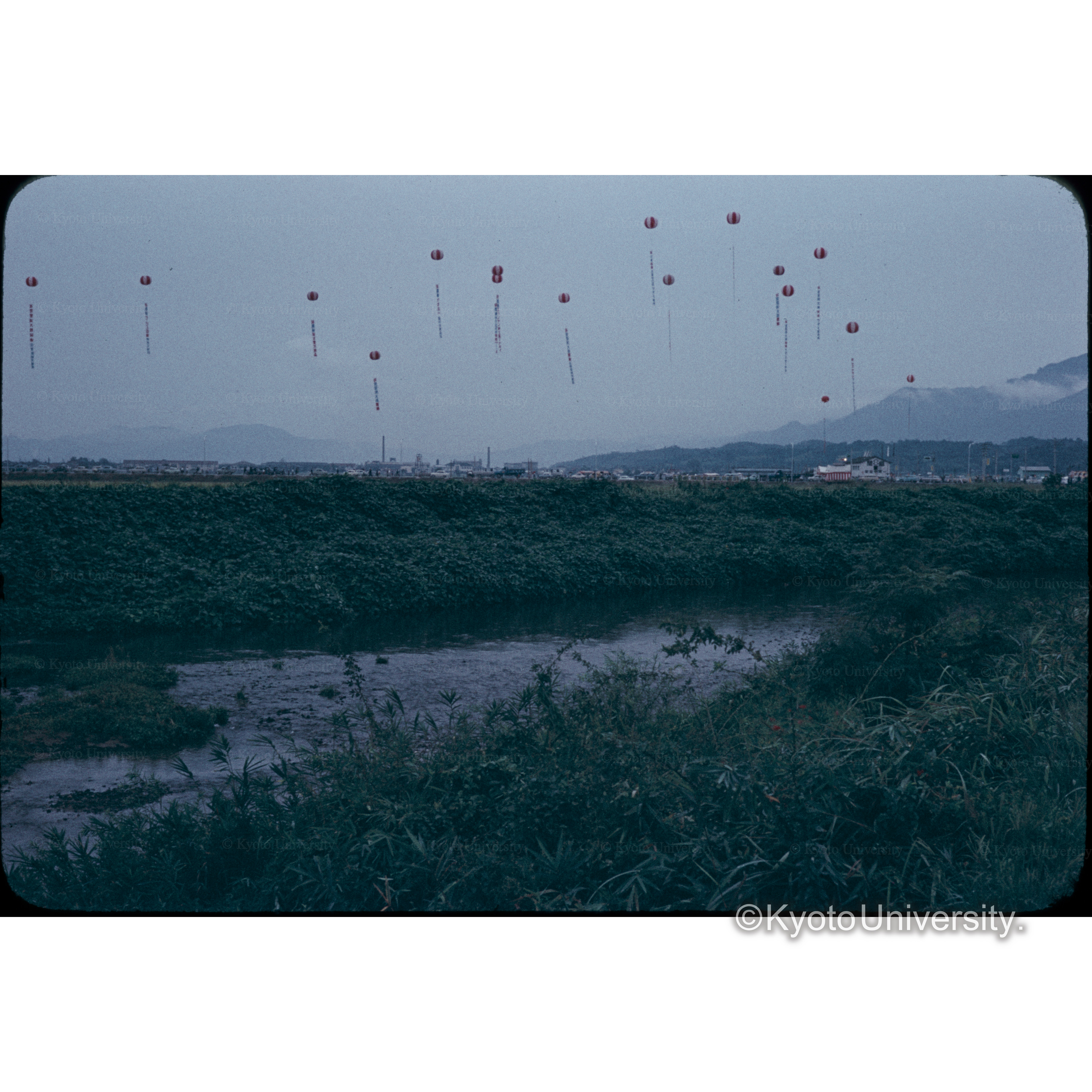 ビワ湖大橋開通日 (1)