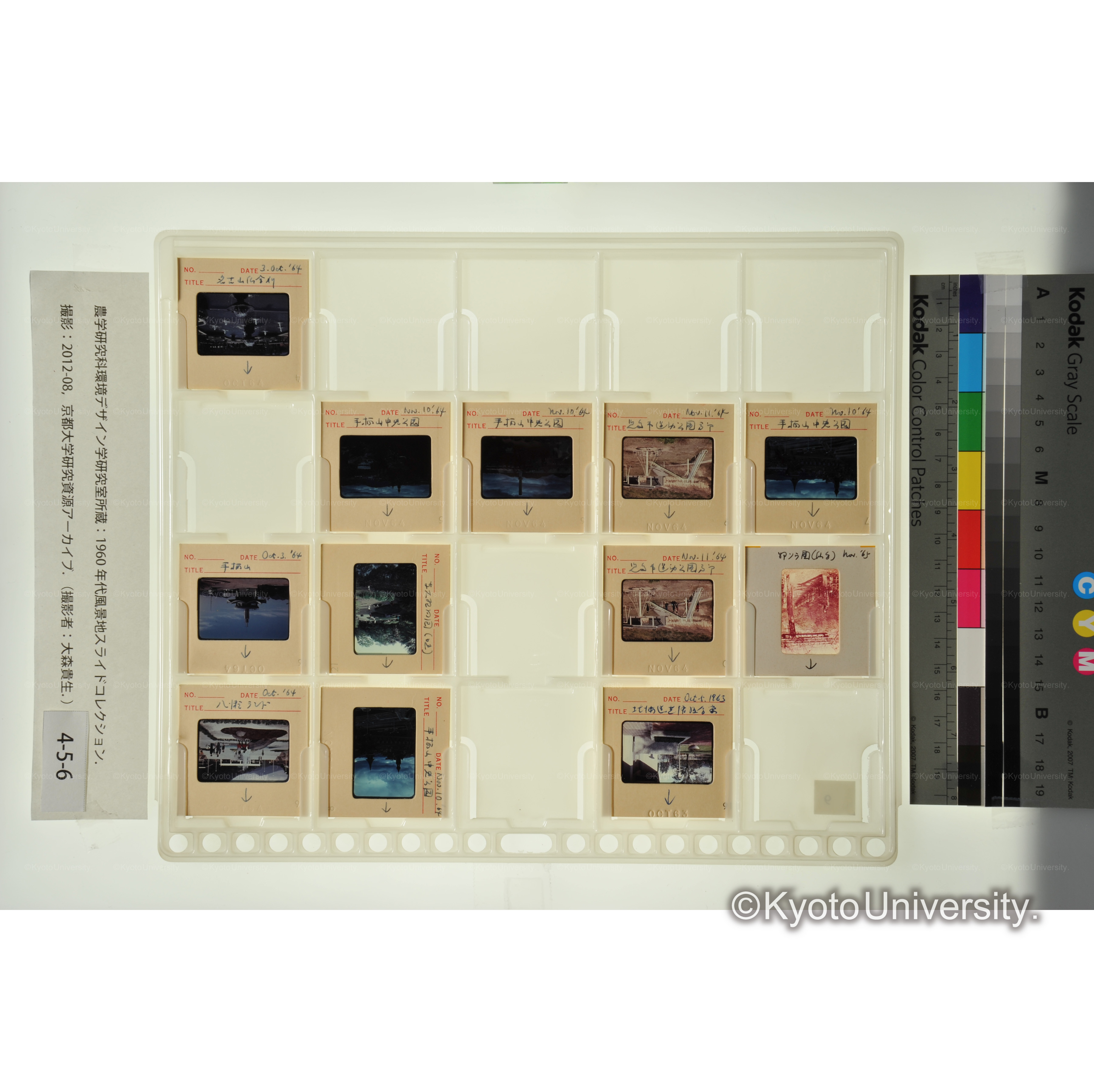 〔手柄山中央公園、児島市運動公園南部〕 (1)