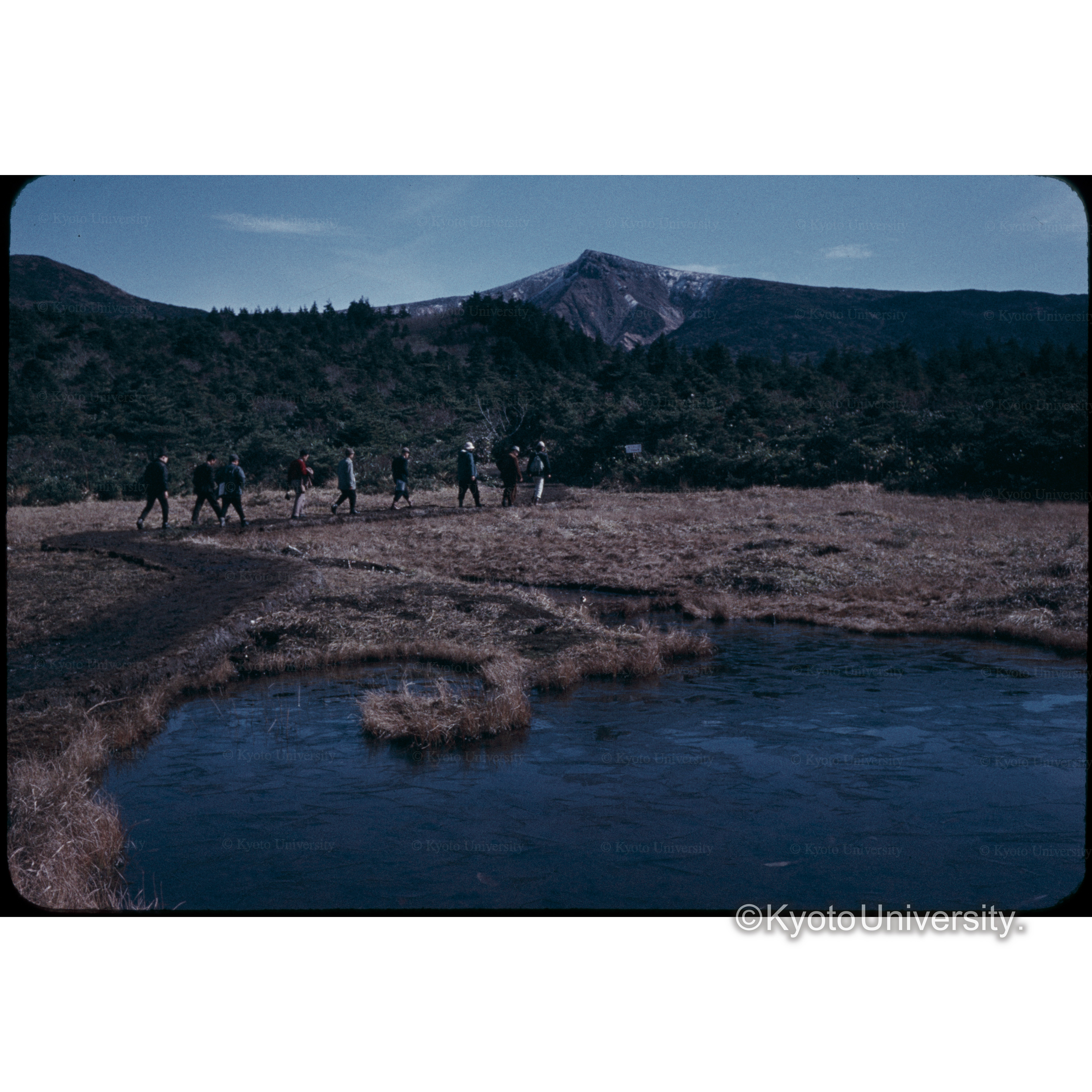 ザ王　いろは沼 (1)