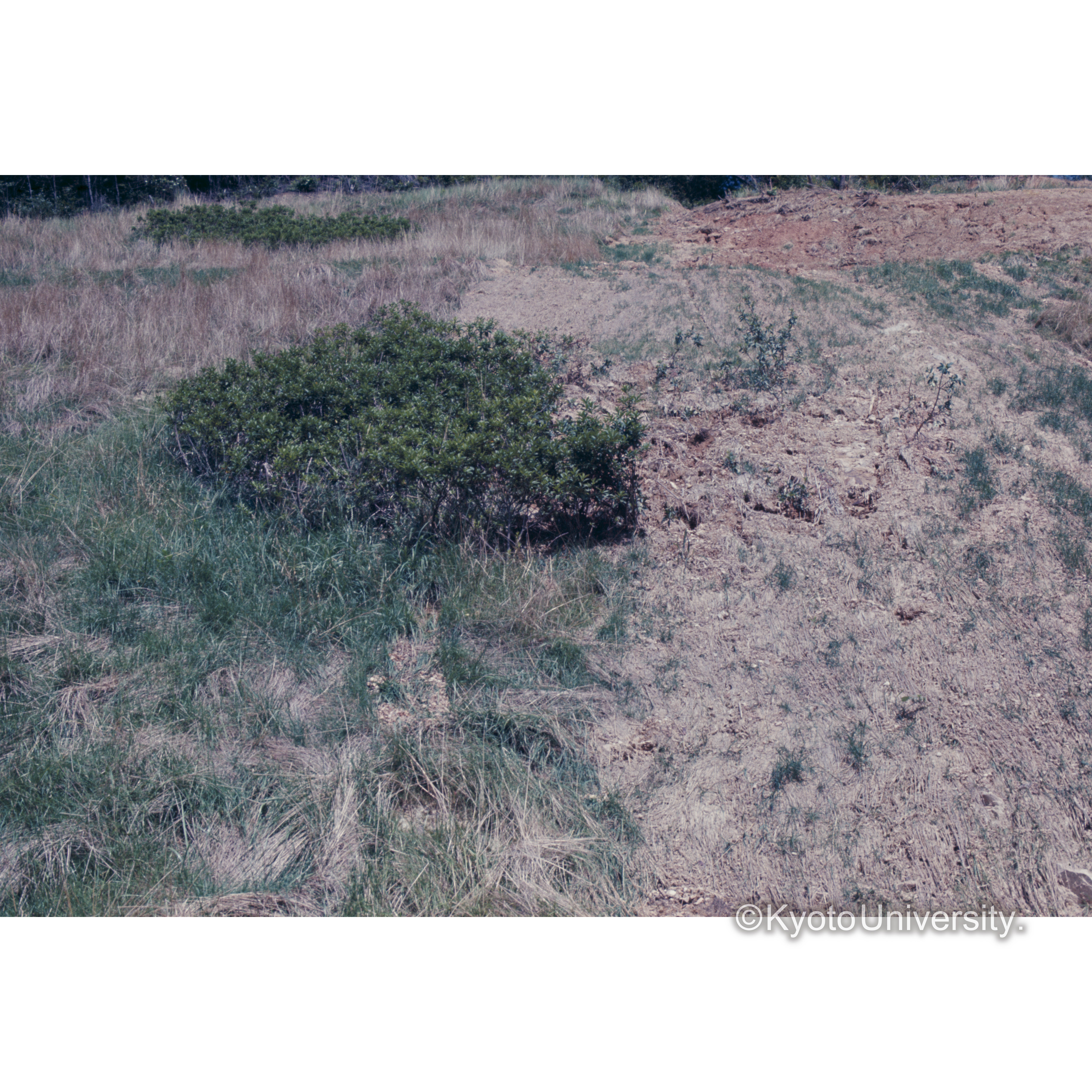 産学文字法面 (1)