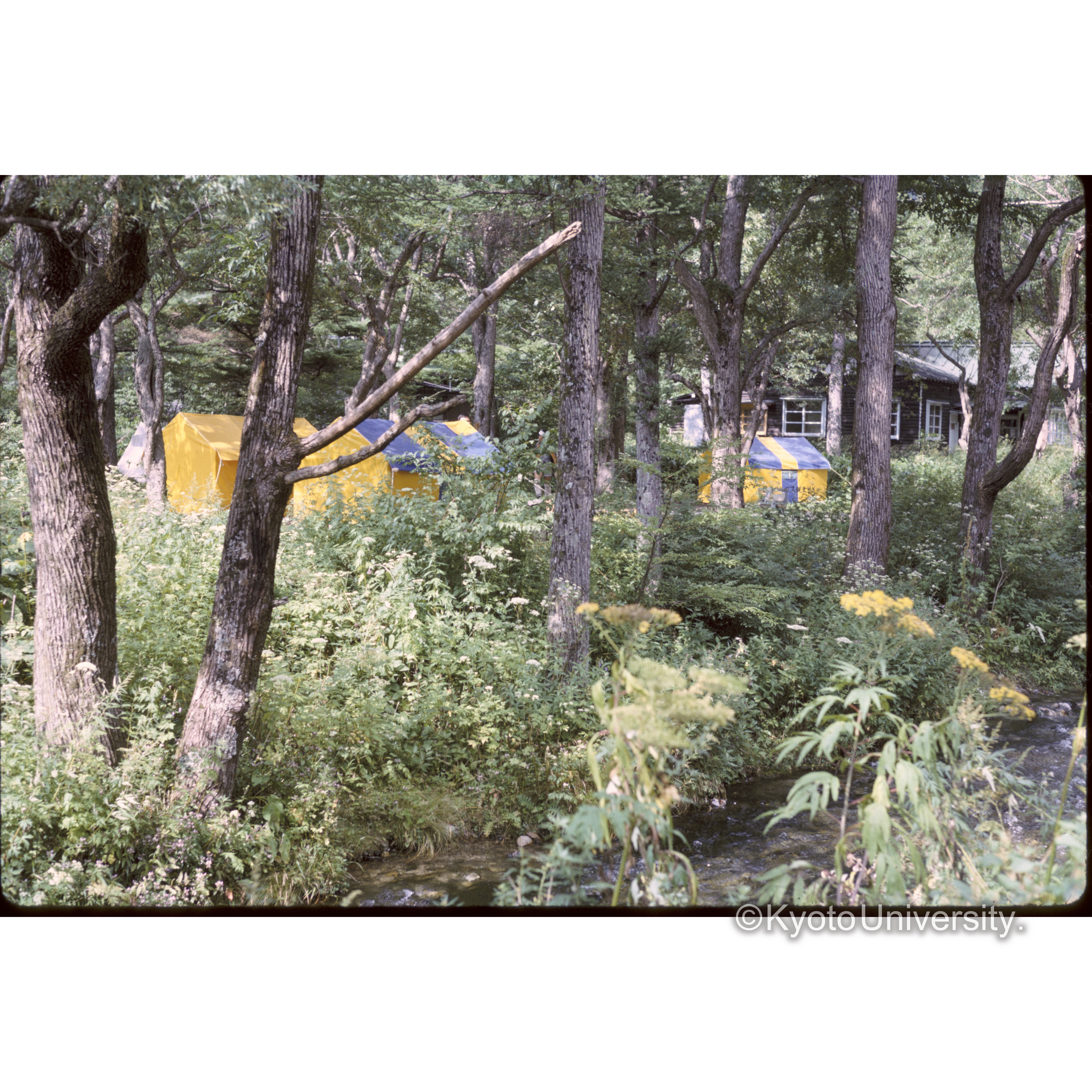 河童橋付近キャンプ (1)