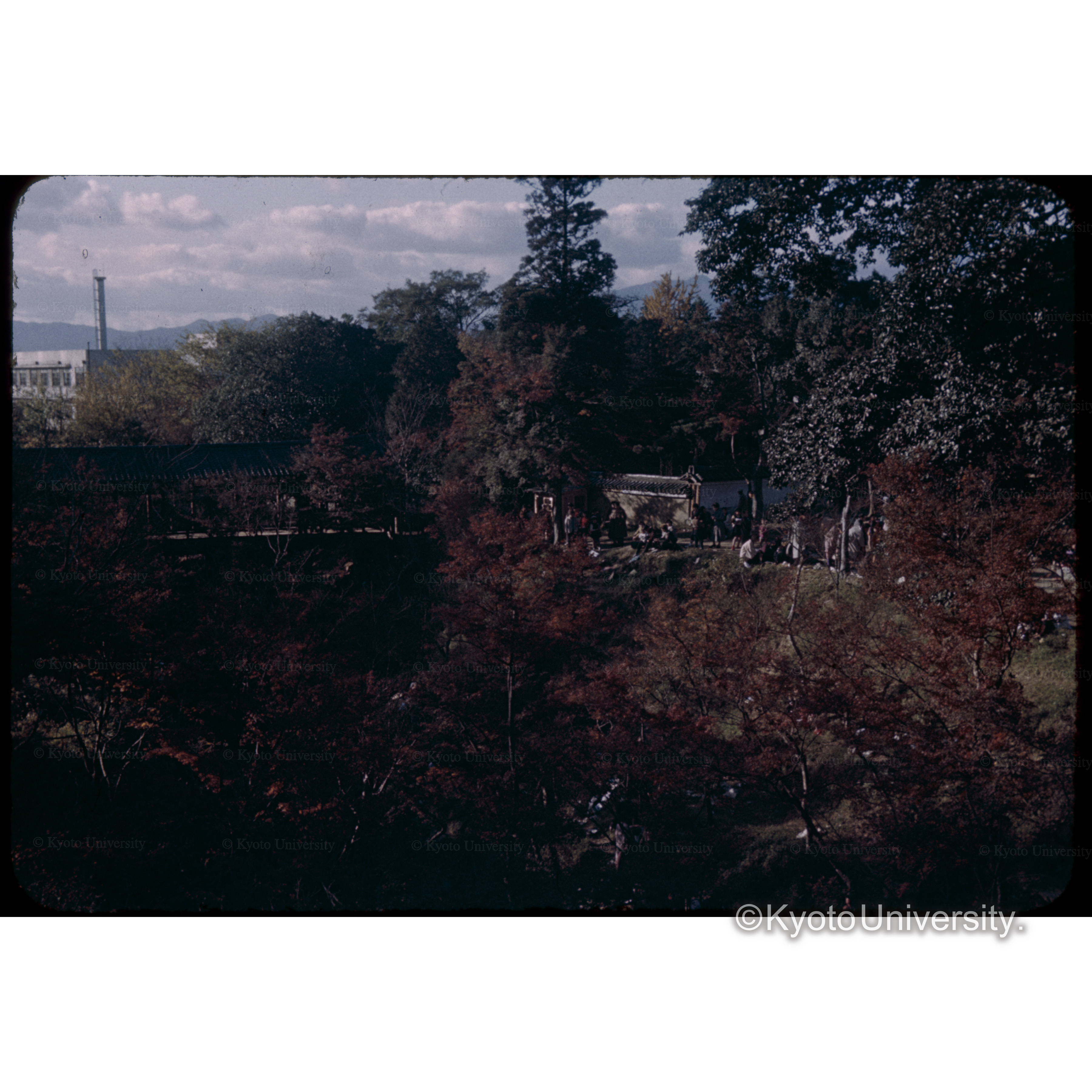 東福寺通天橋 (1)