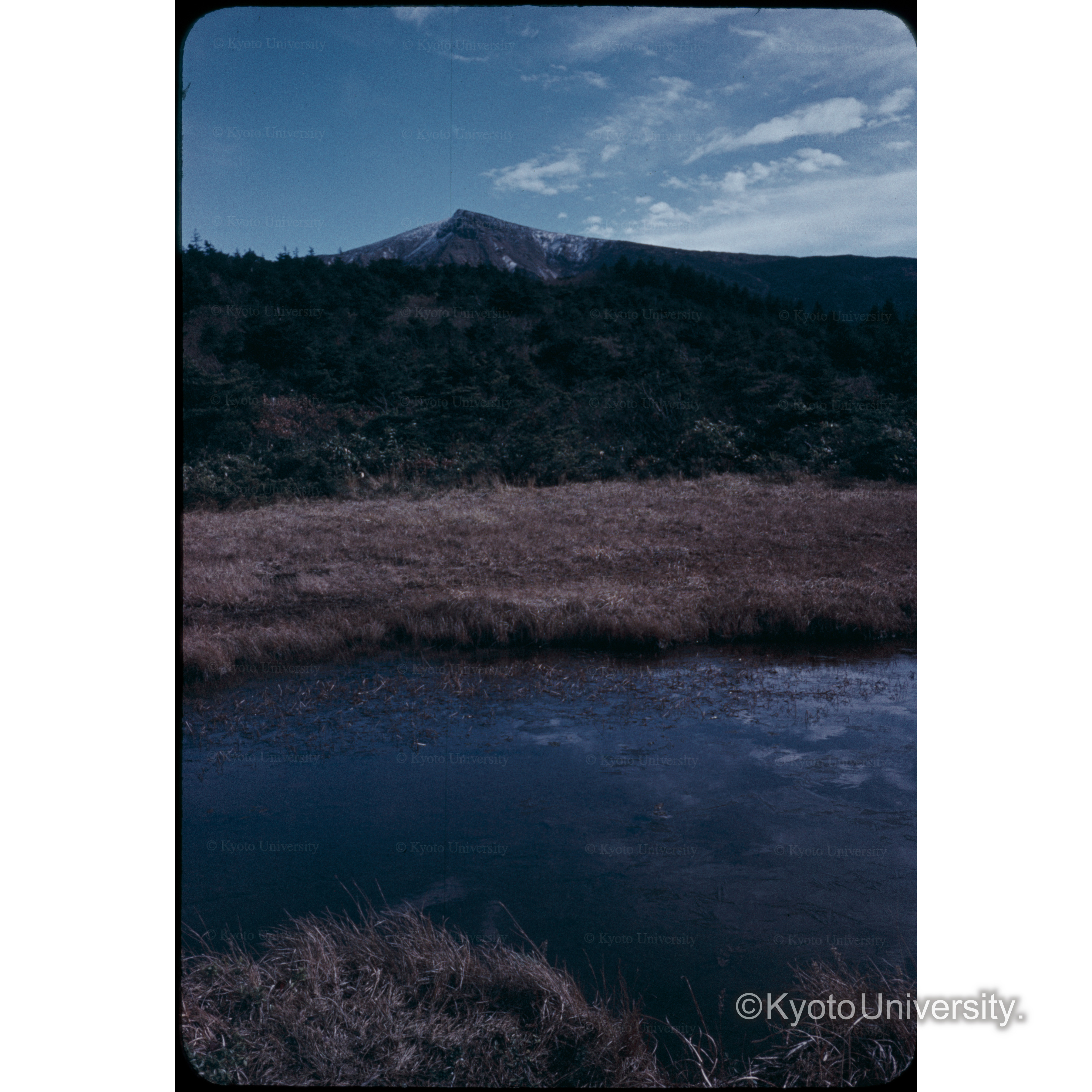 ザ王　いろは沼 (1)