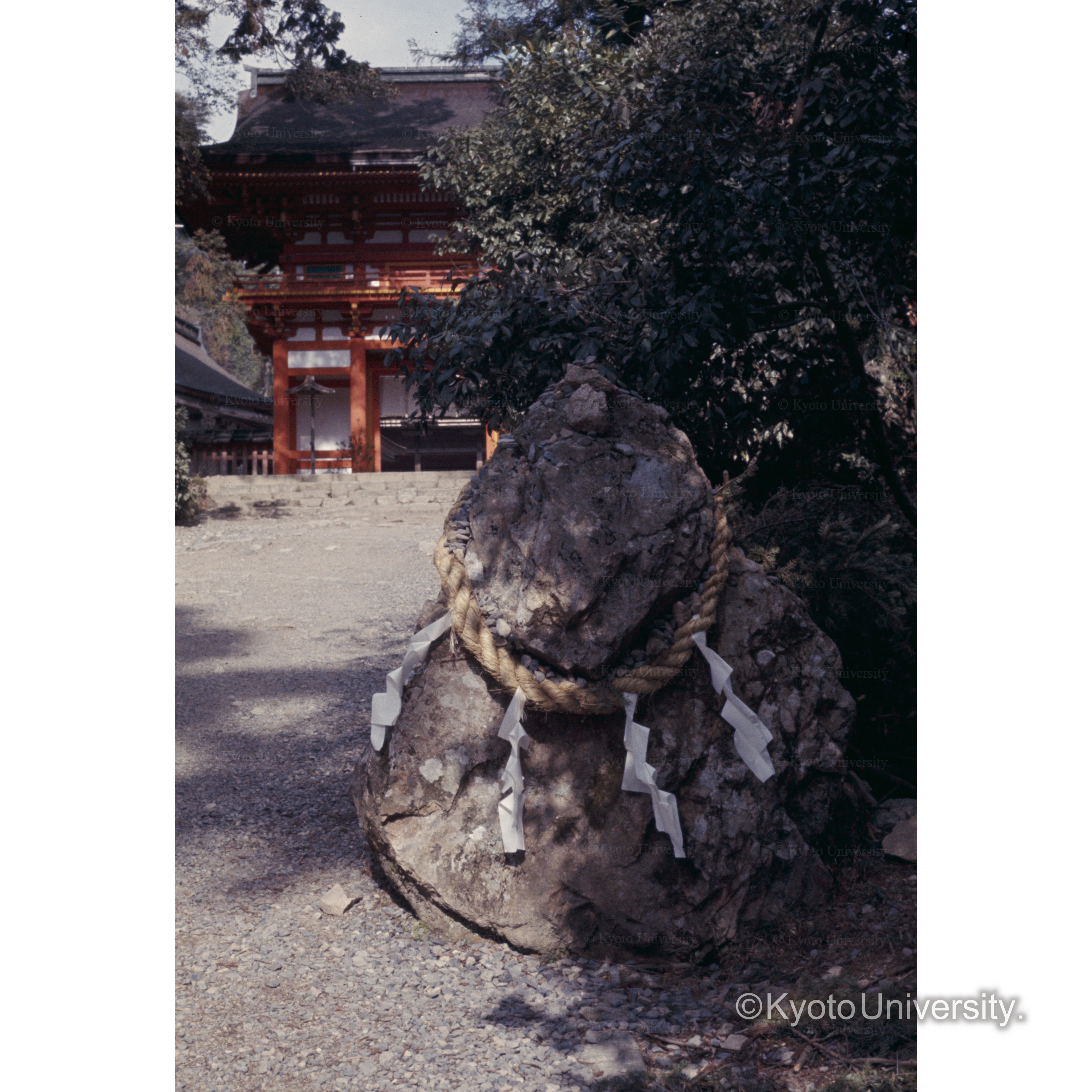 日吉神社 (1)