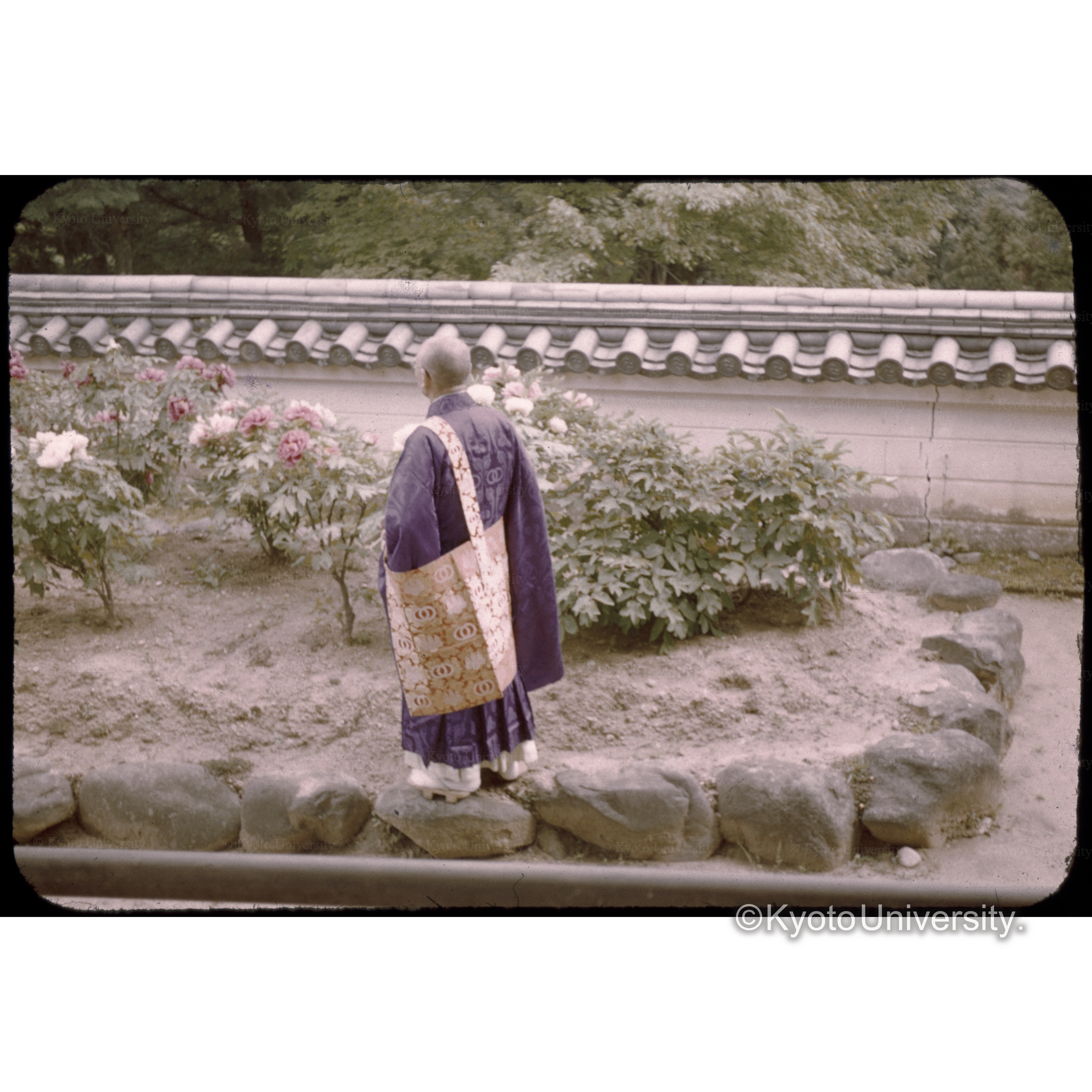 〔庭園の僧侶〕 (1)