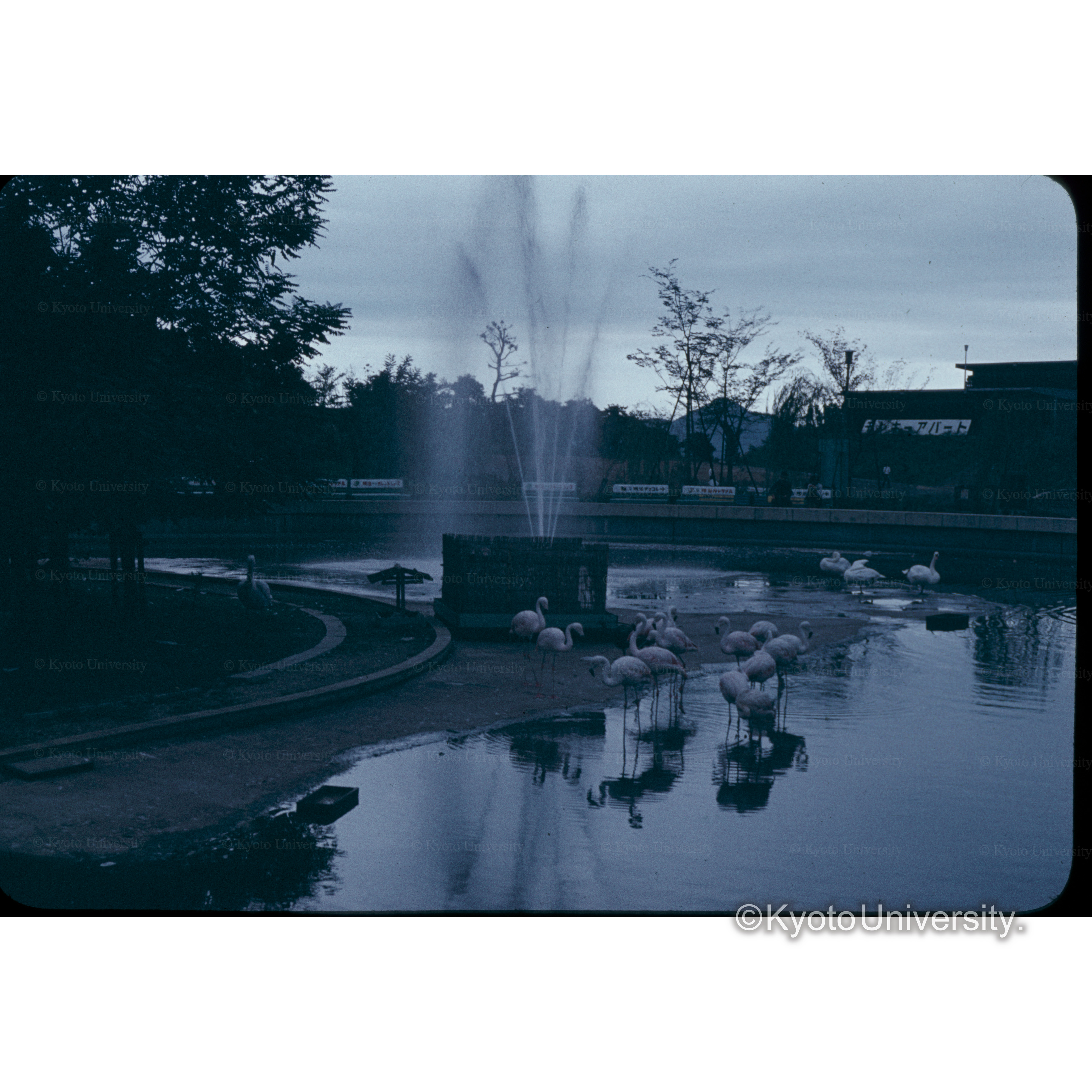 犬山遊園地(名鉄) (1)