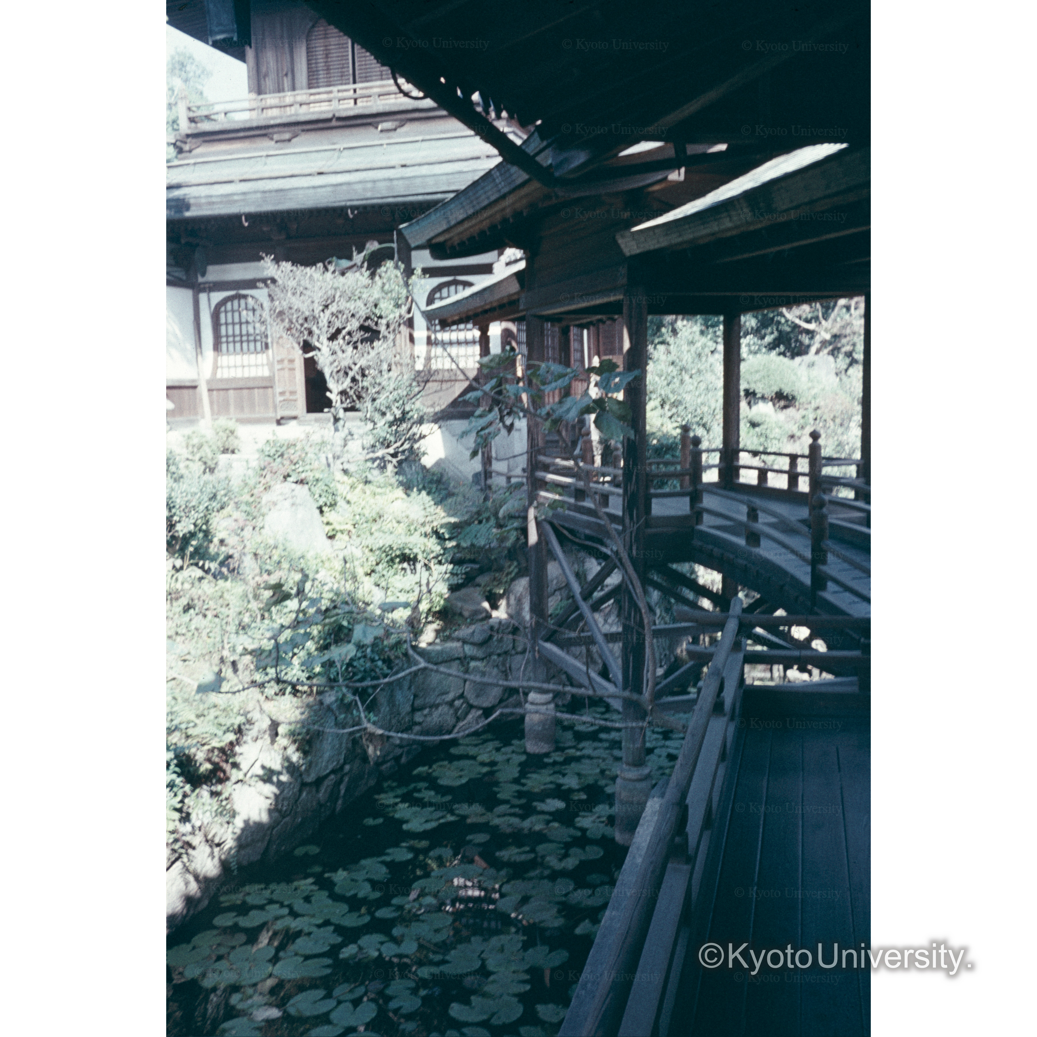 芳春院 (1)