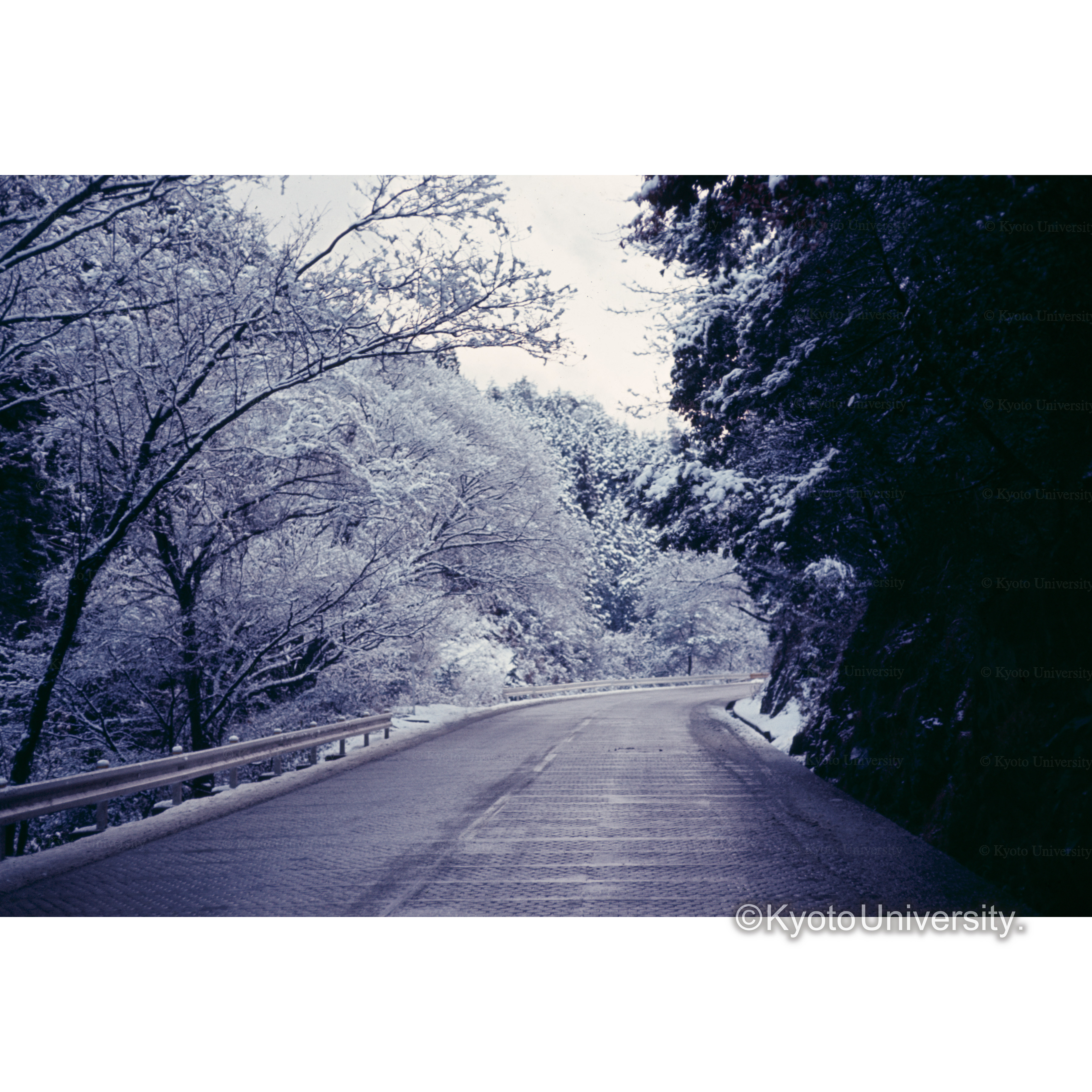 大枝　国道9号線 (1)