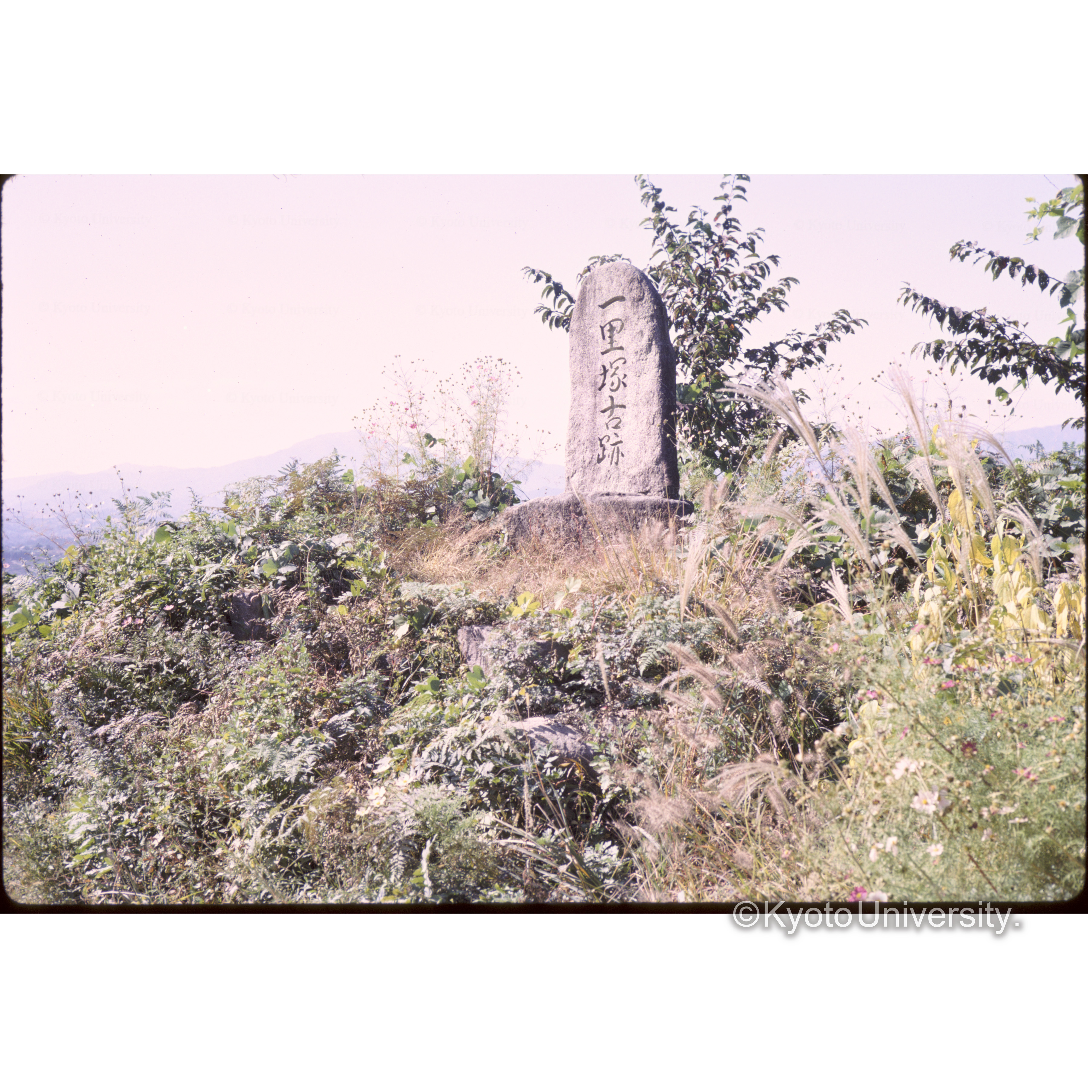 十曲峠への道 (1)