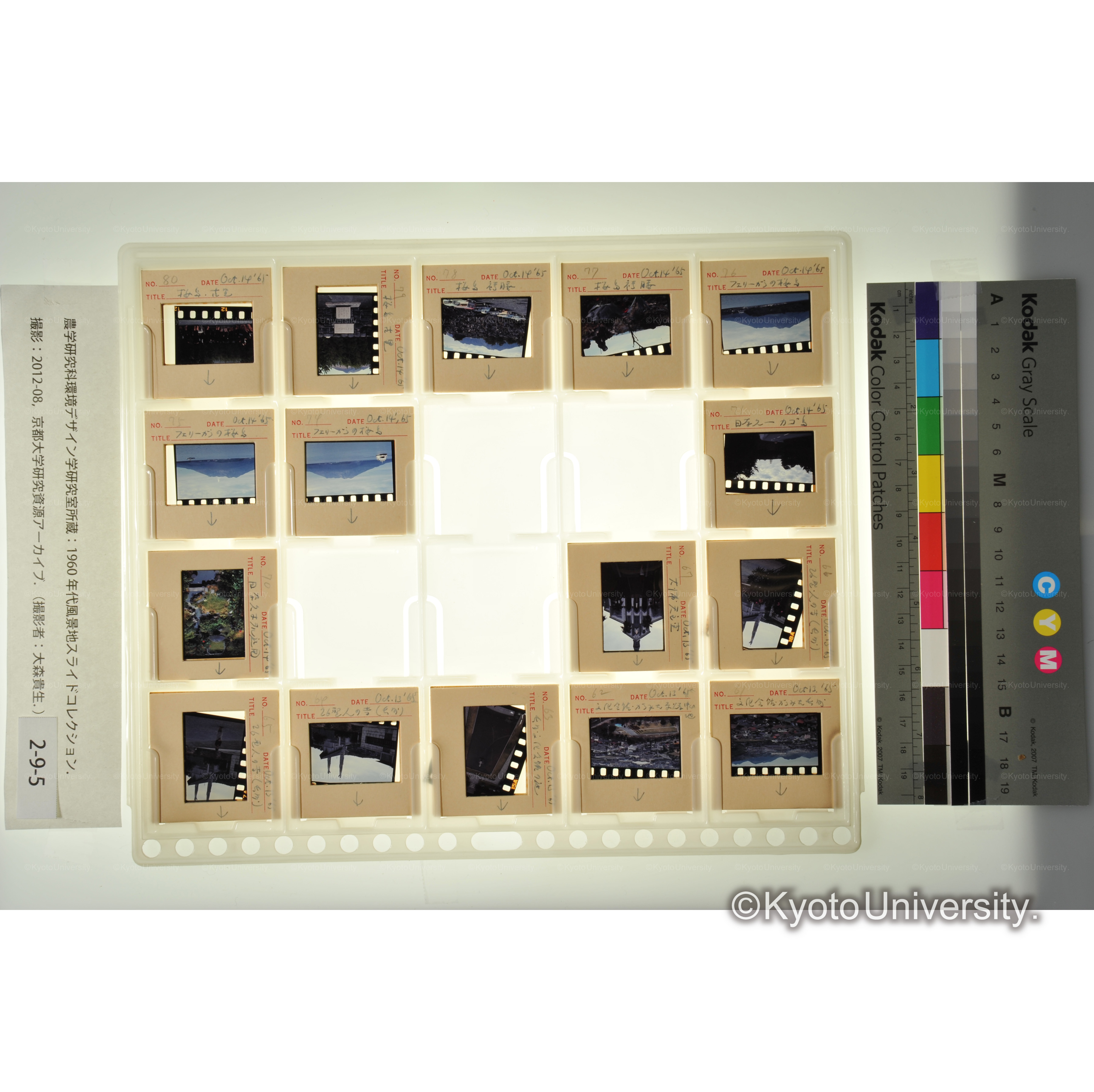 〔長崎、桜島〕 (1)