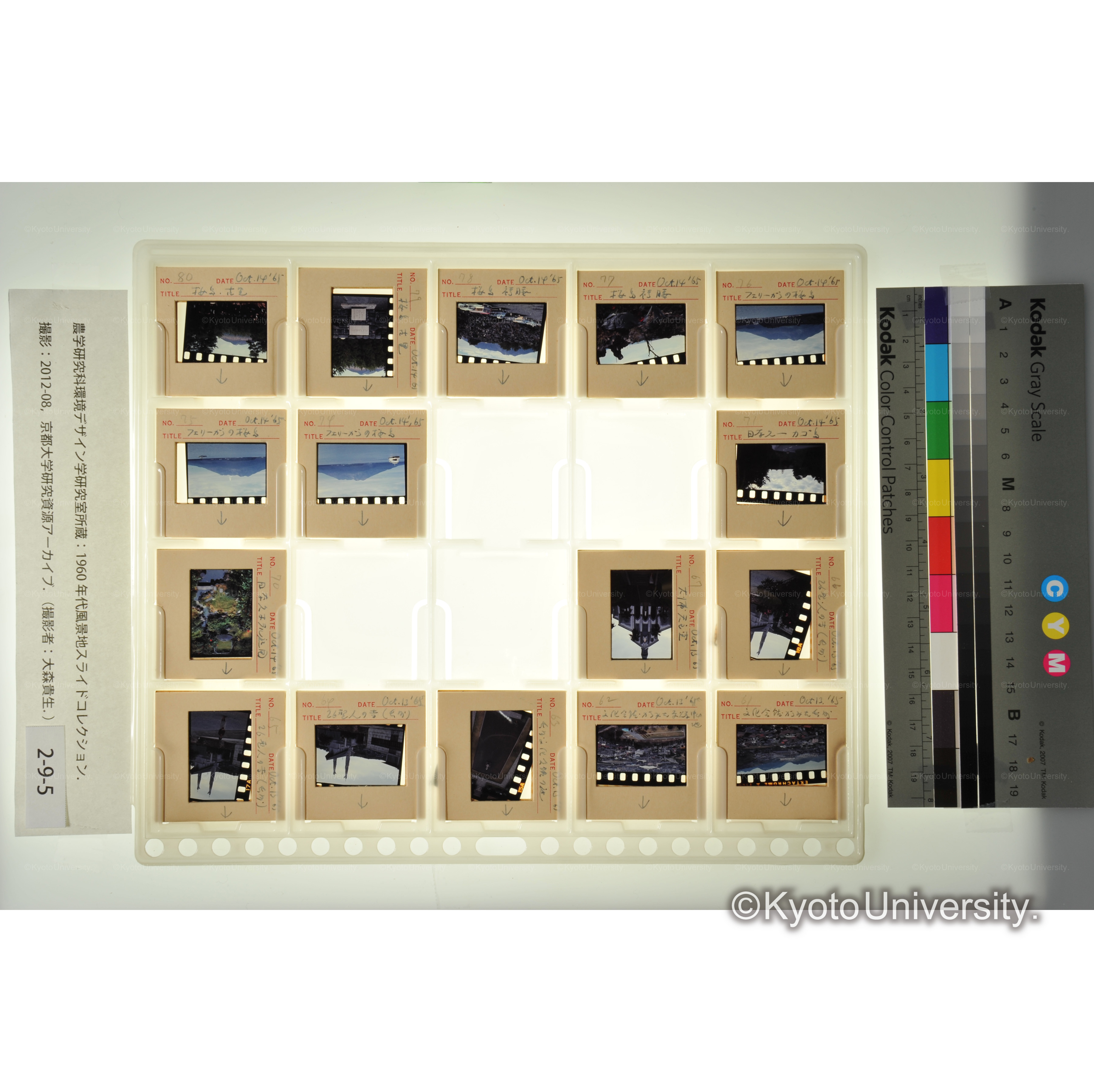 〔長崎、桜島〕 (2)