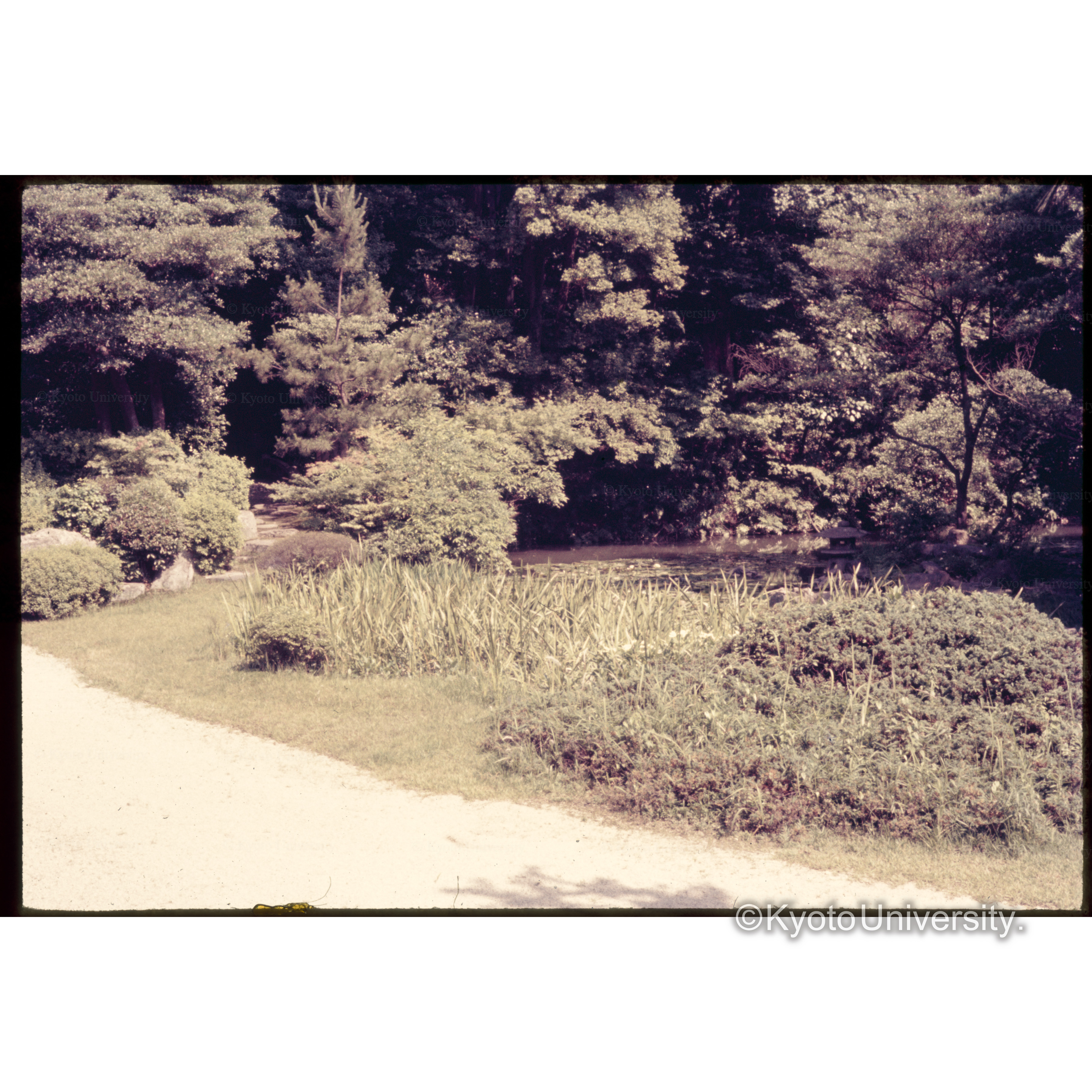 知恩院方丈庭園 (1)