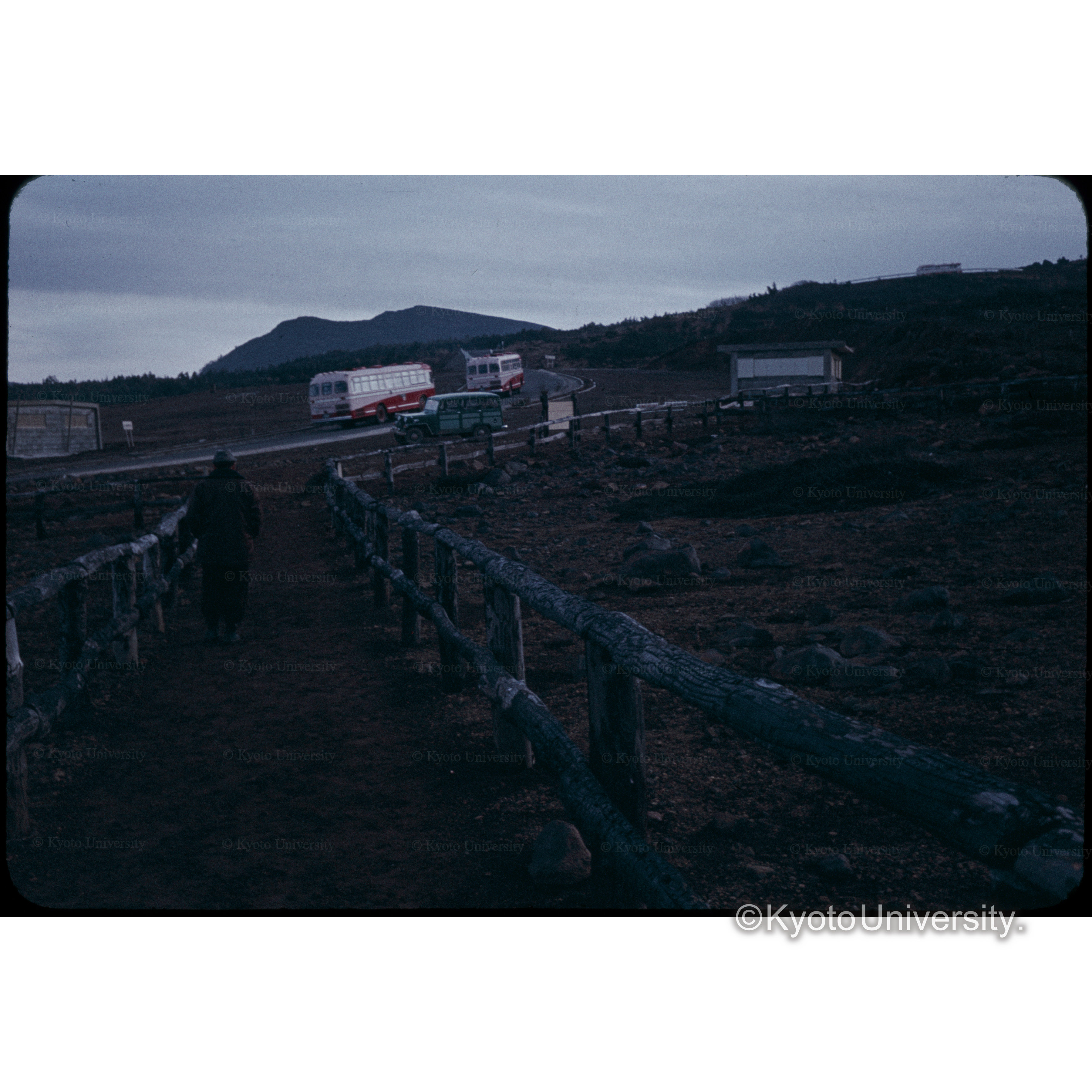 ザ王　エコーライン横　高山植物園 (1)