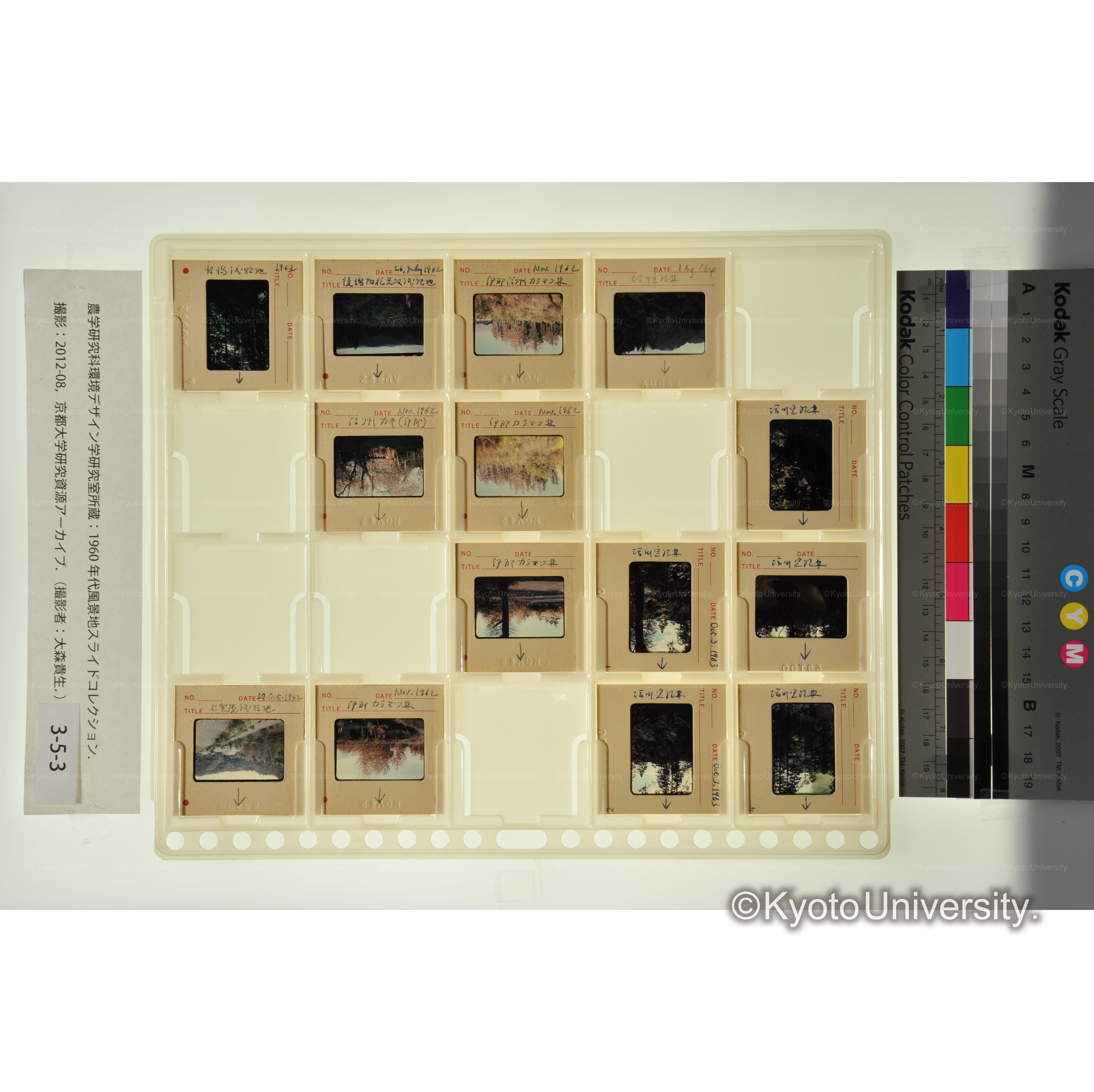 〔塩川実験林、伊那カラマツ林、上賀茂試験地〕 (1)