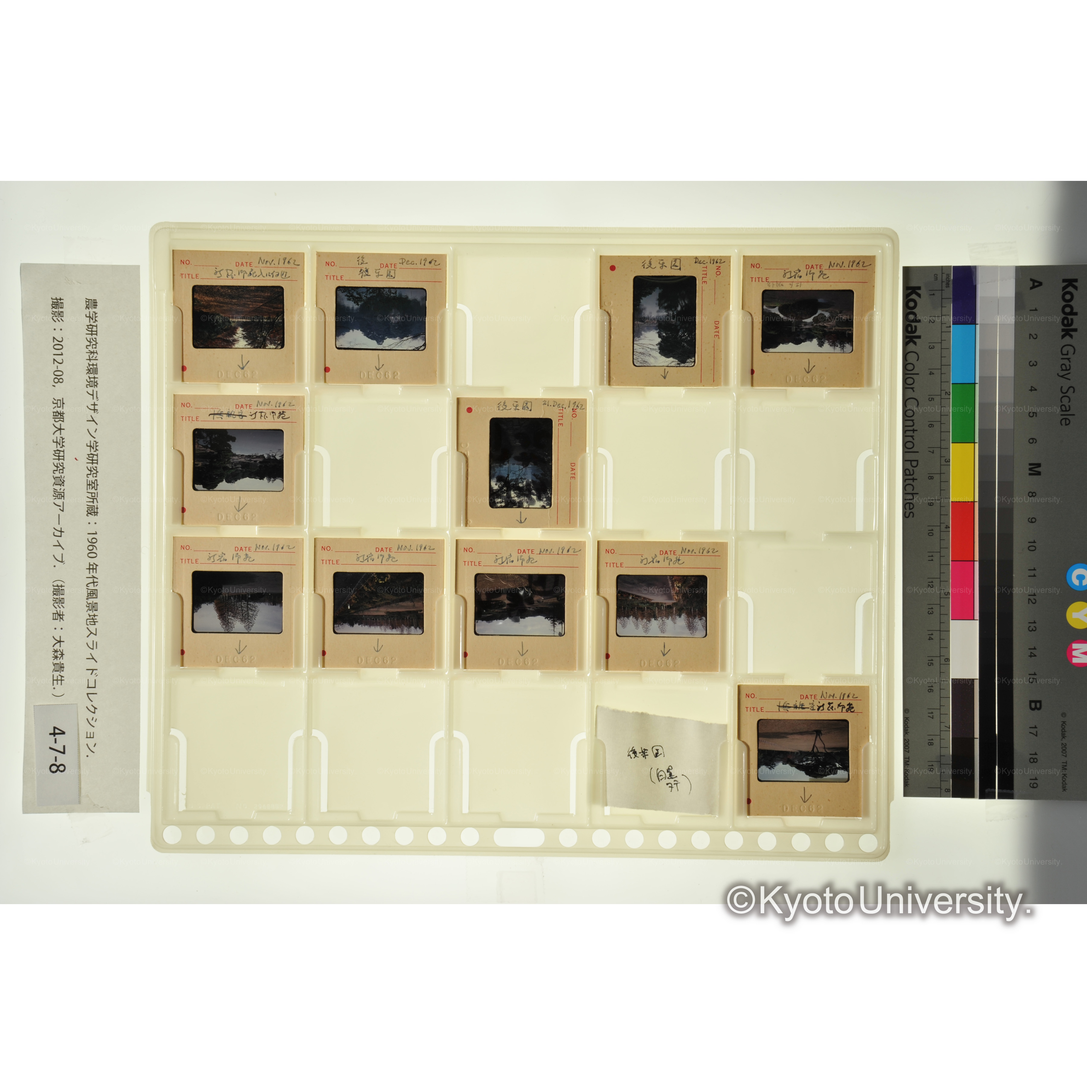 小石川後楽園　新宿御苑 (1)