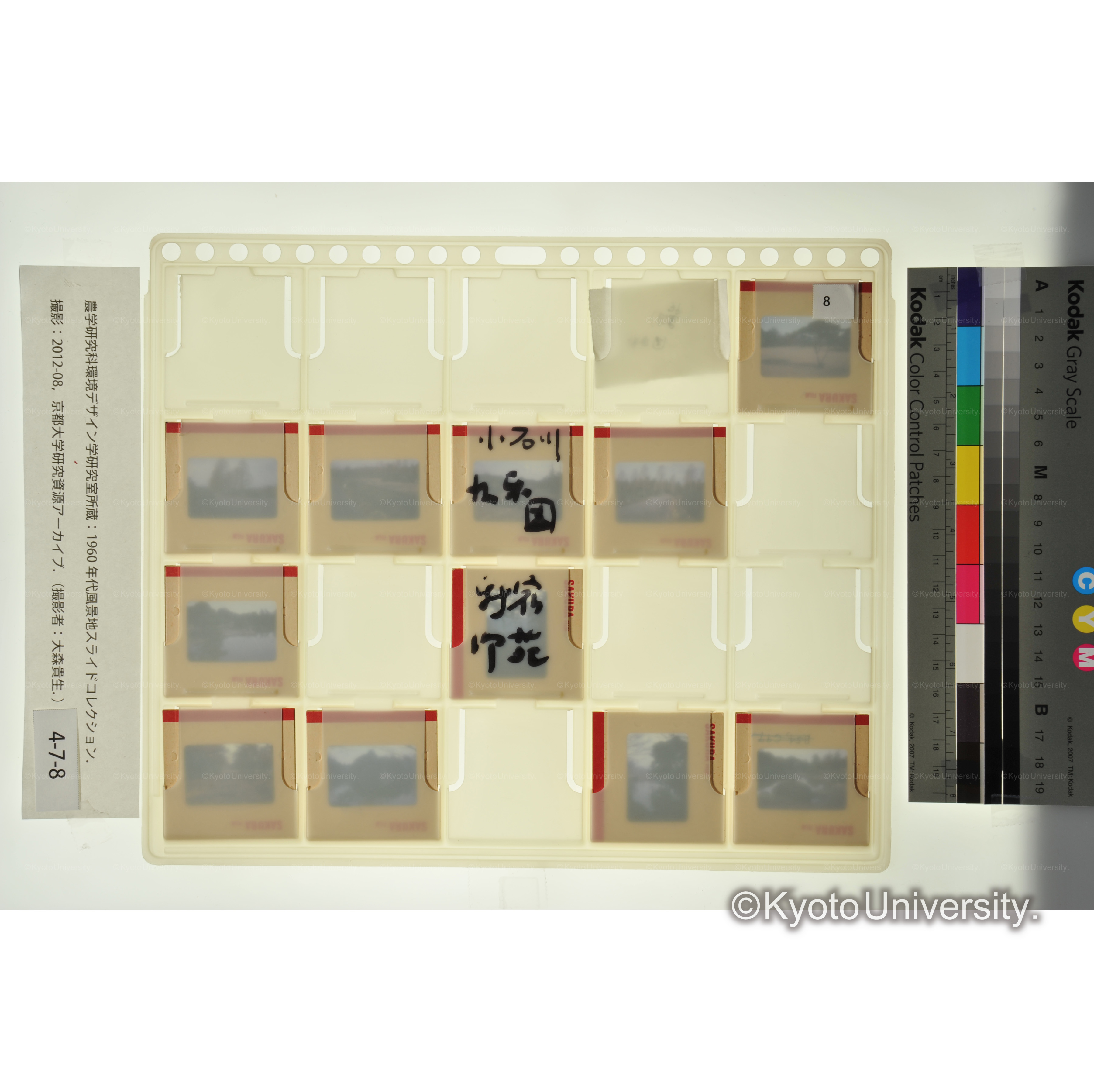 小石川後楽園　新宿御苑 (2)