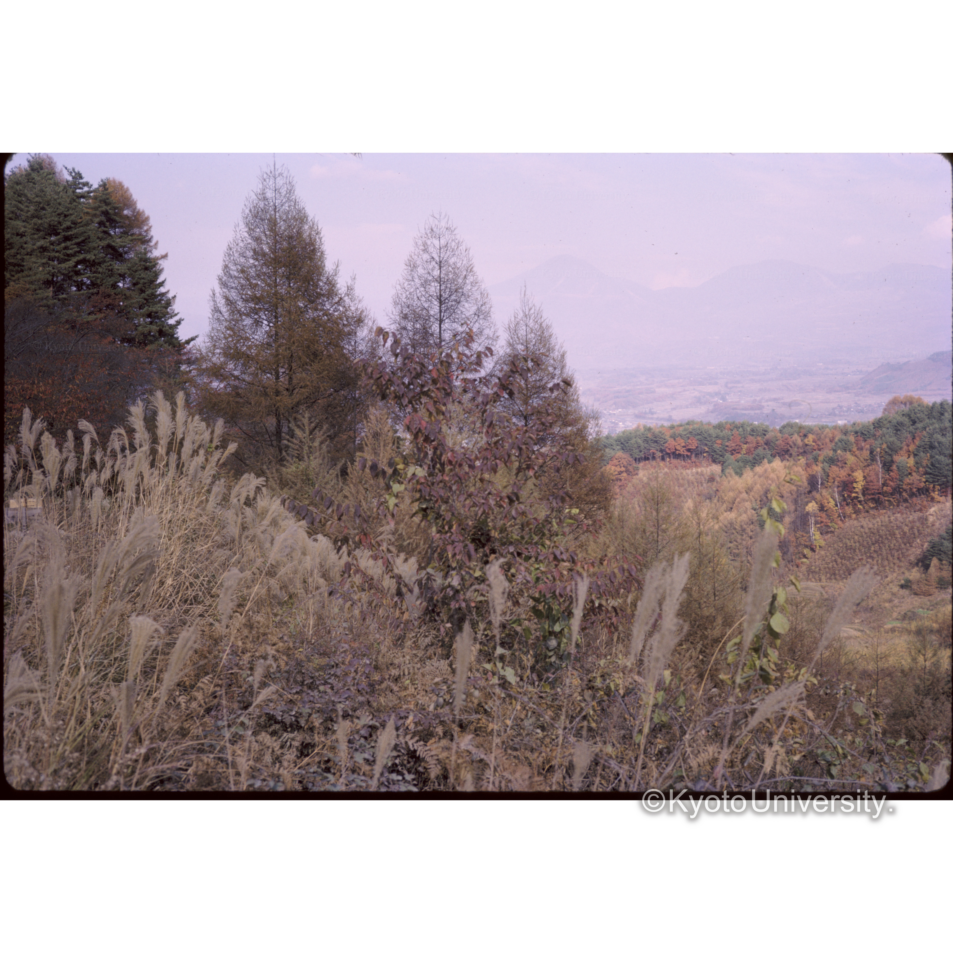 茅野(車待ちの処) (1)