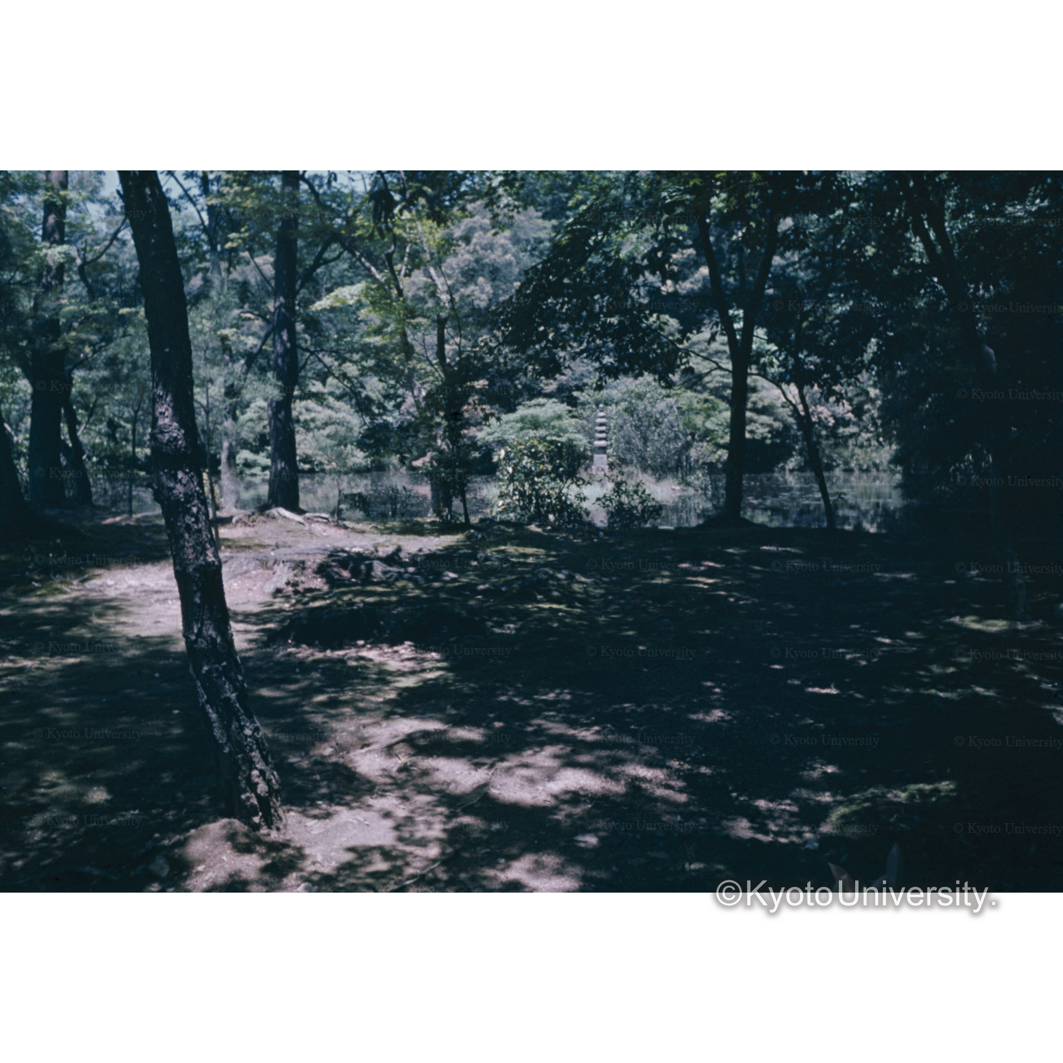 金閣寺　安眠沢 (1)