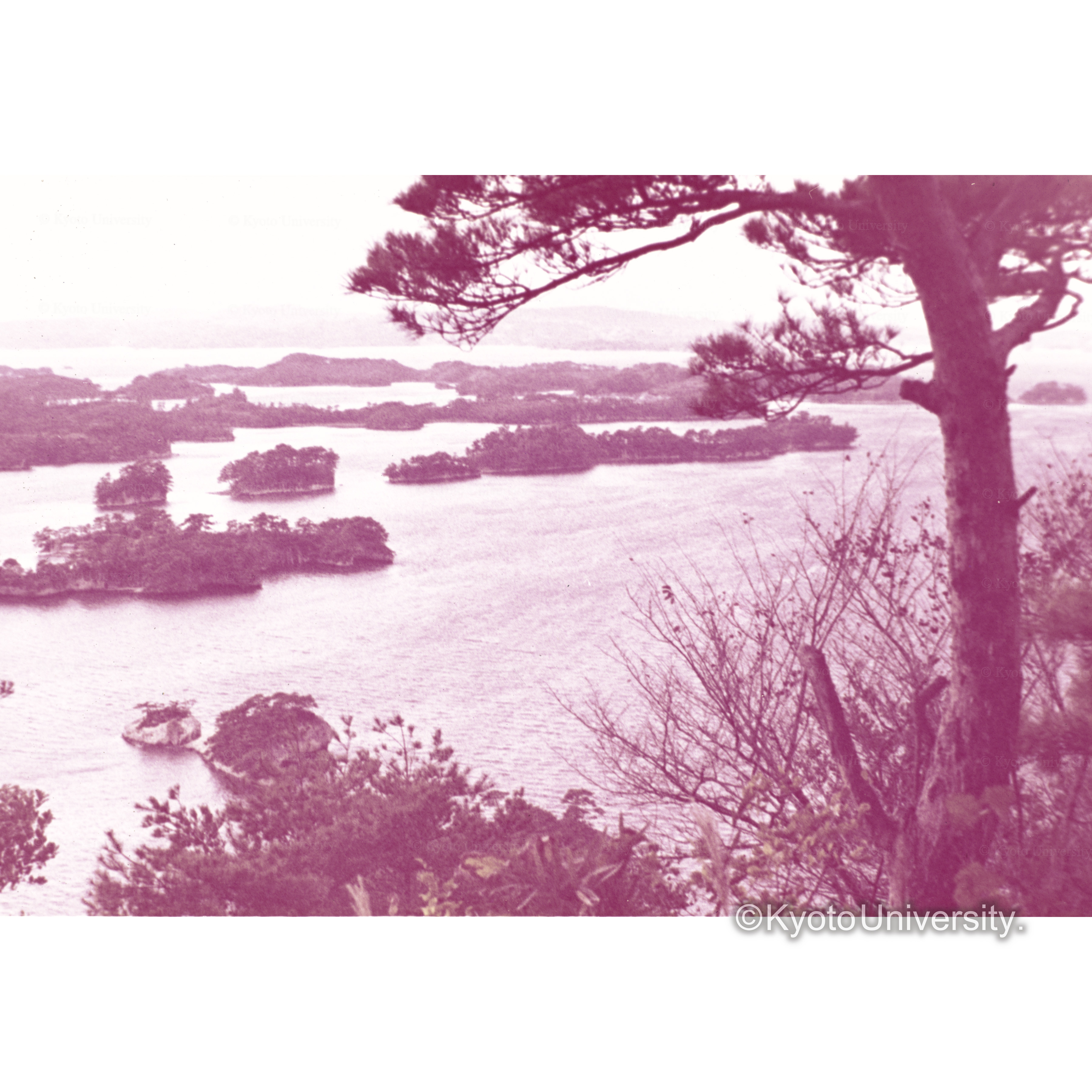 松島（□□山） (1)