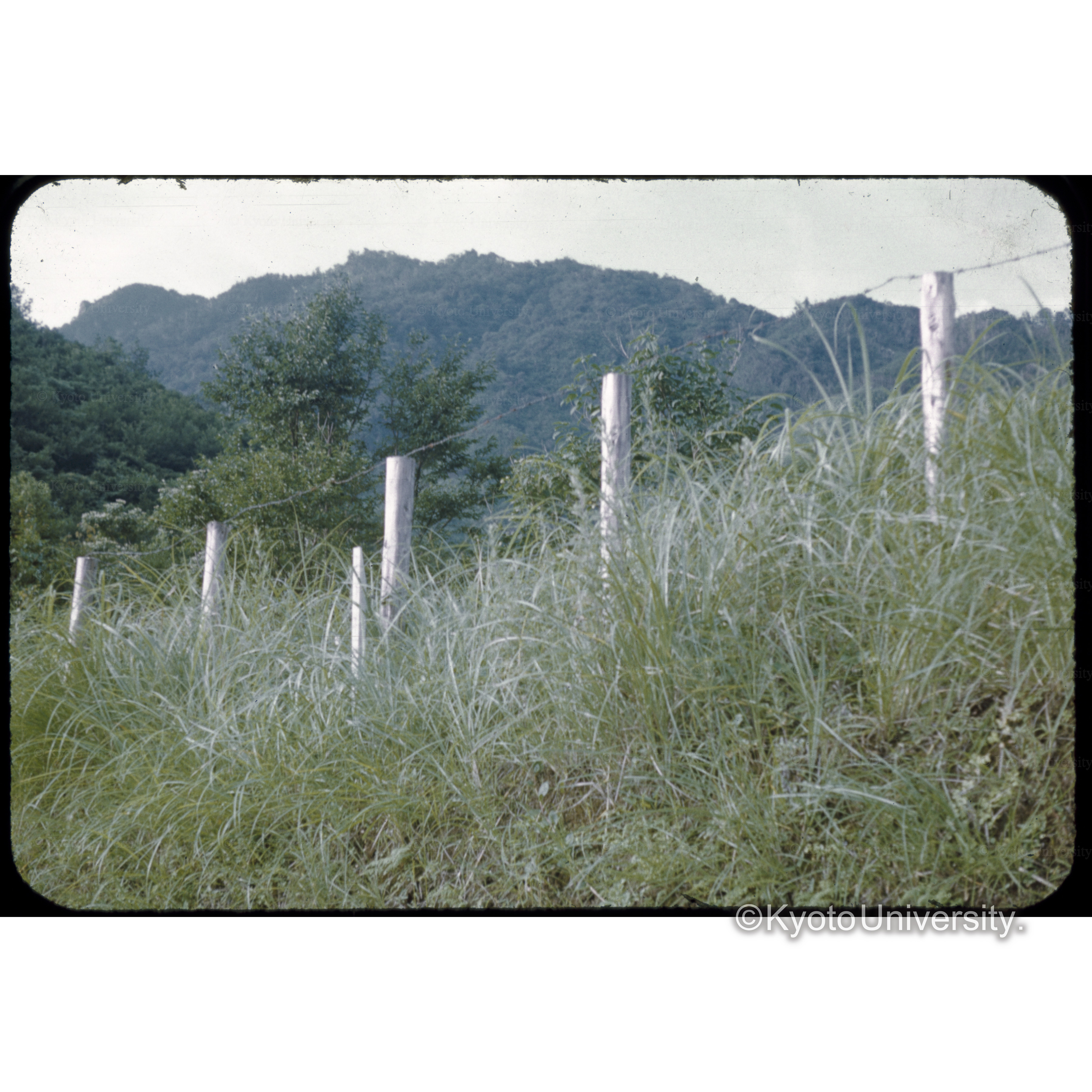 宮之浦事務所 (1)