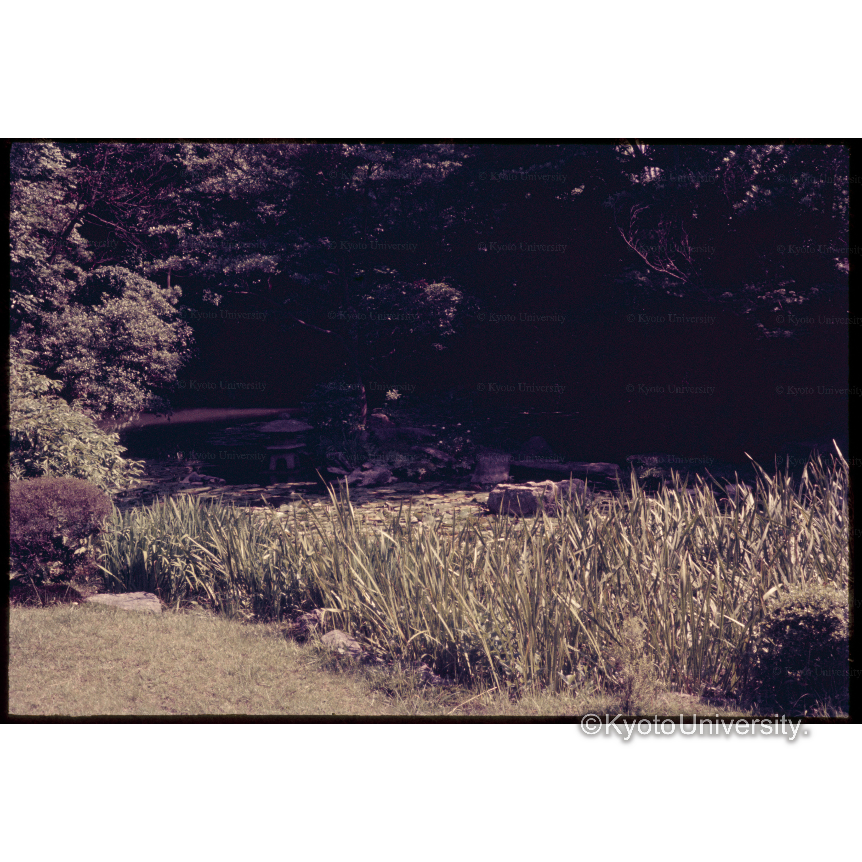 知恩院方丈庭園 (1)