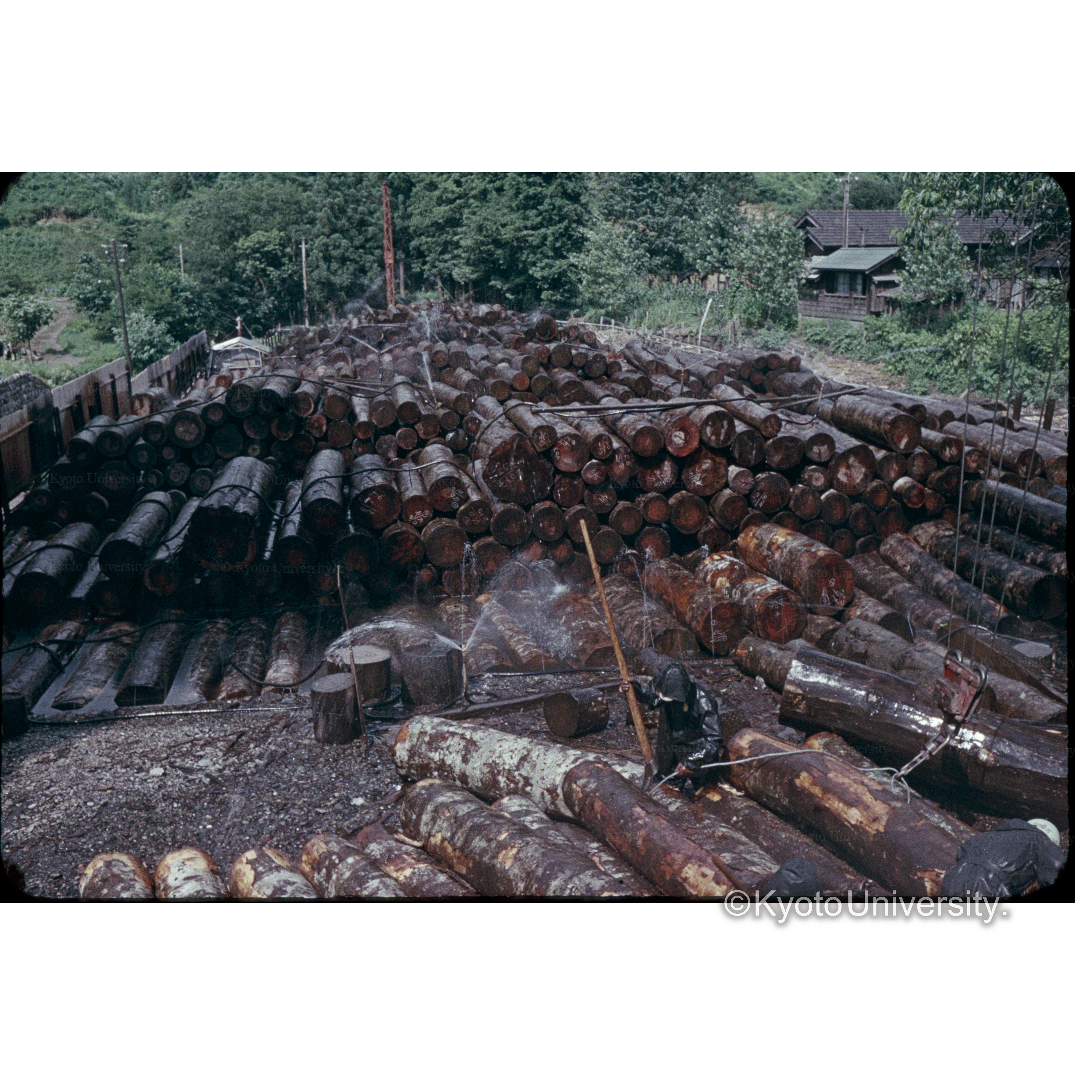 足立べニア□木場 (1)