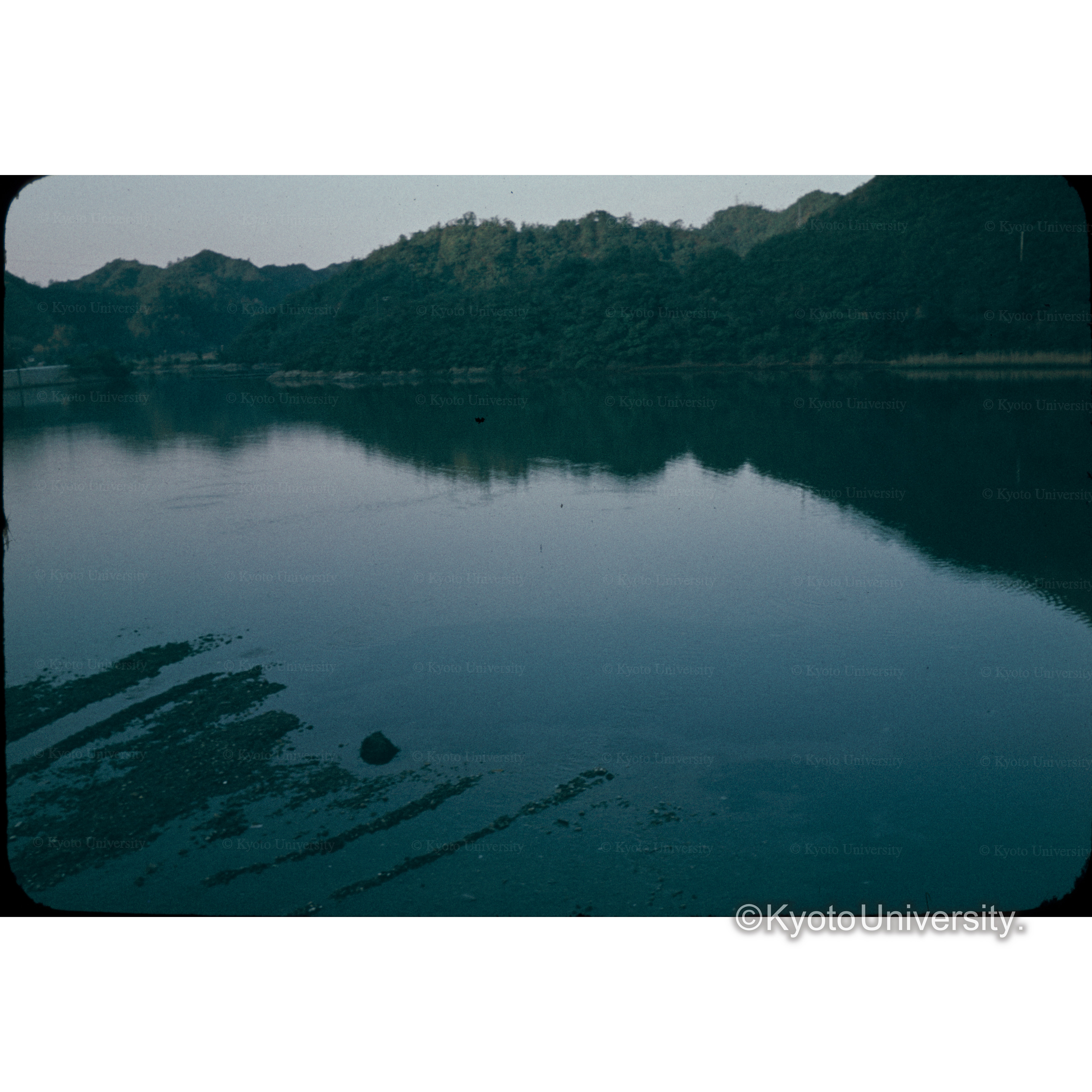 〔池の写真〕 (1)