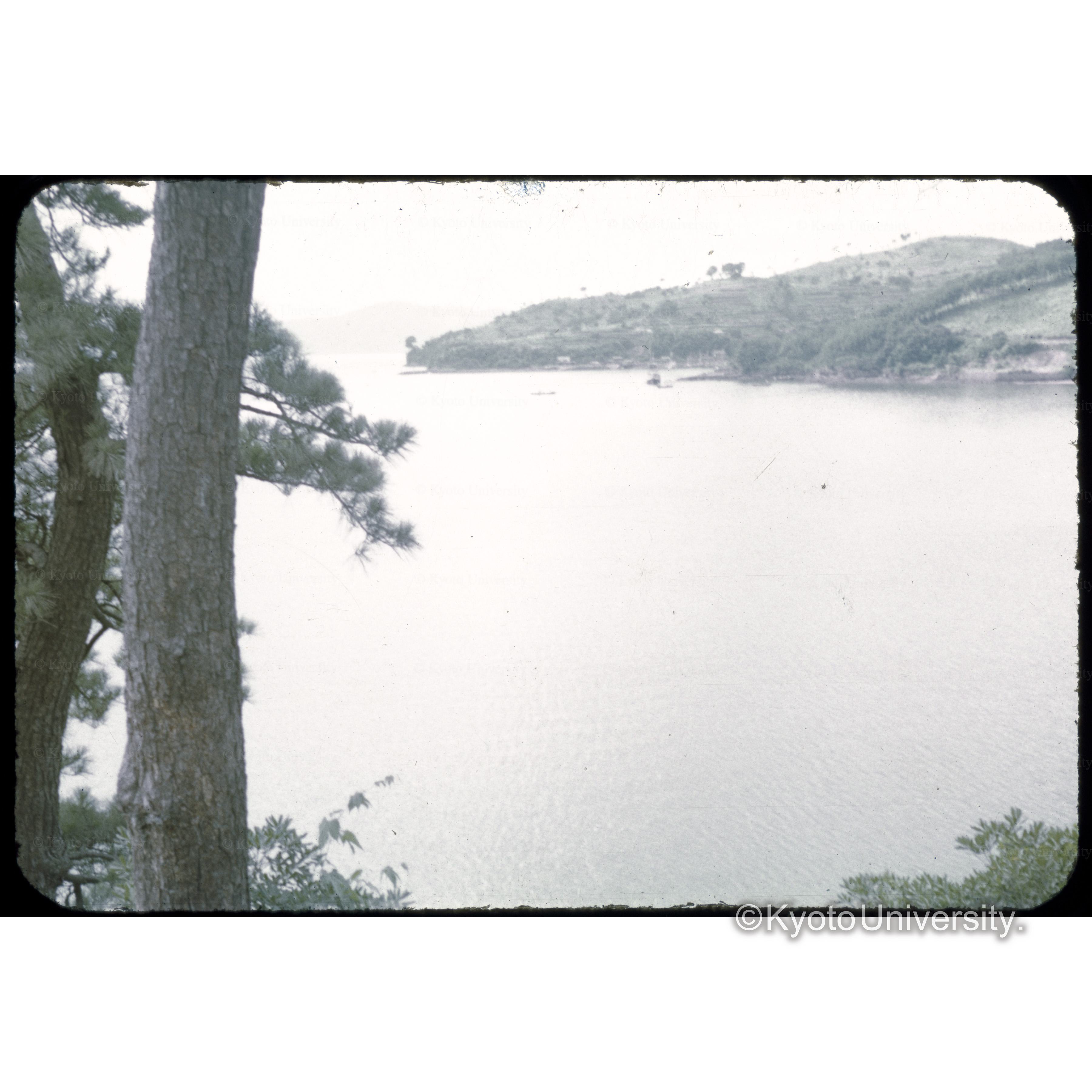 芦北海岸、熊本 (1)