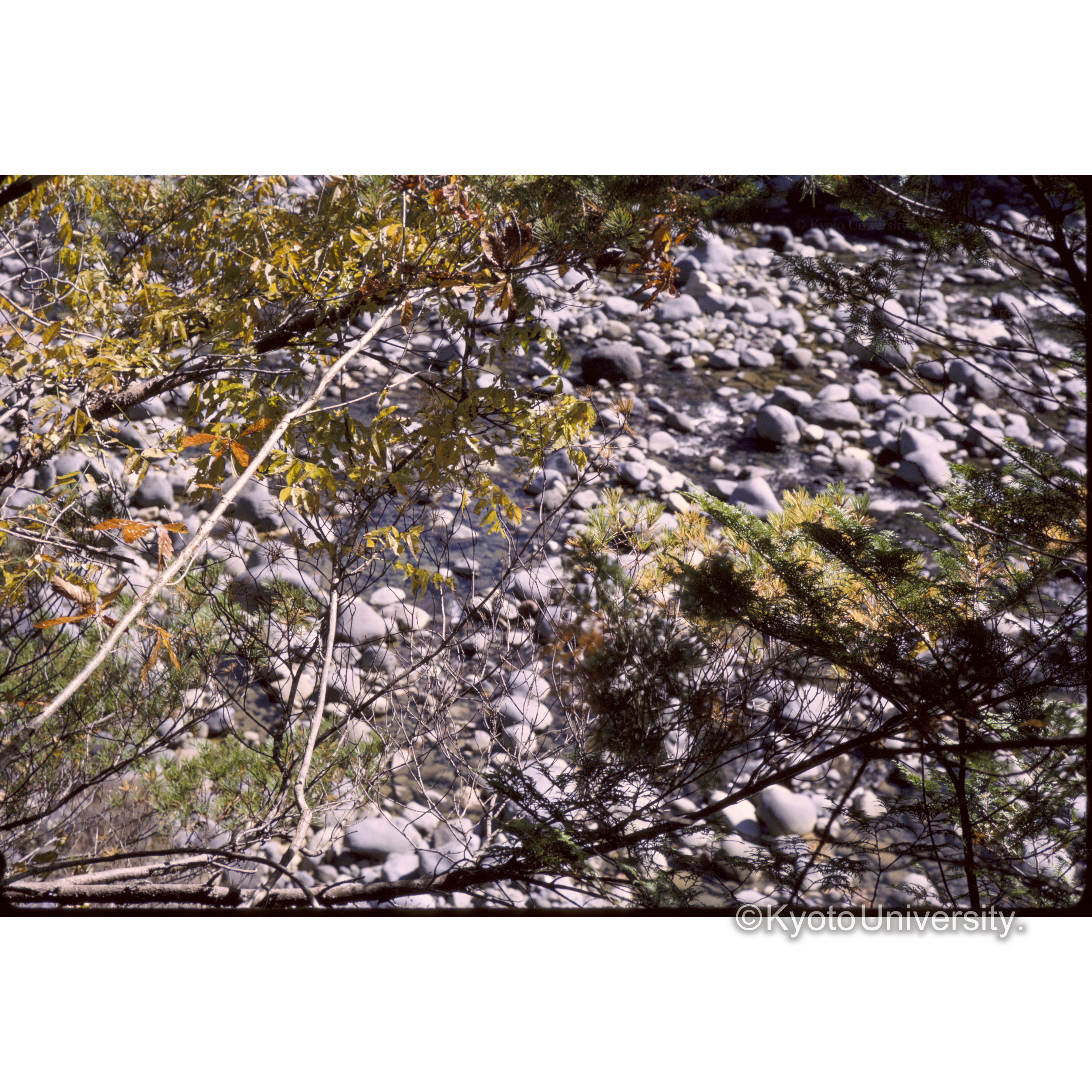 王滝　水ヶセ (1)