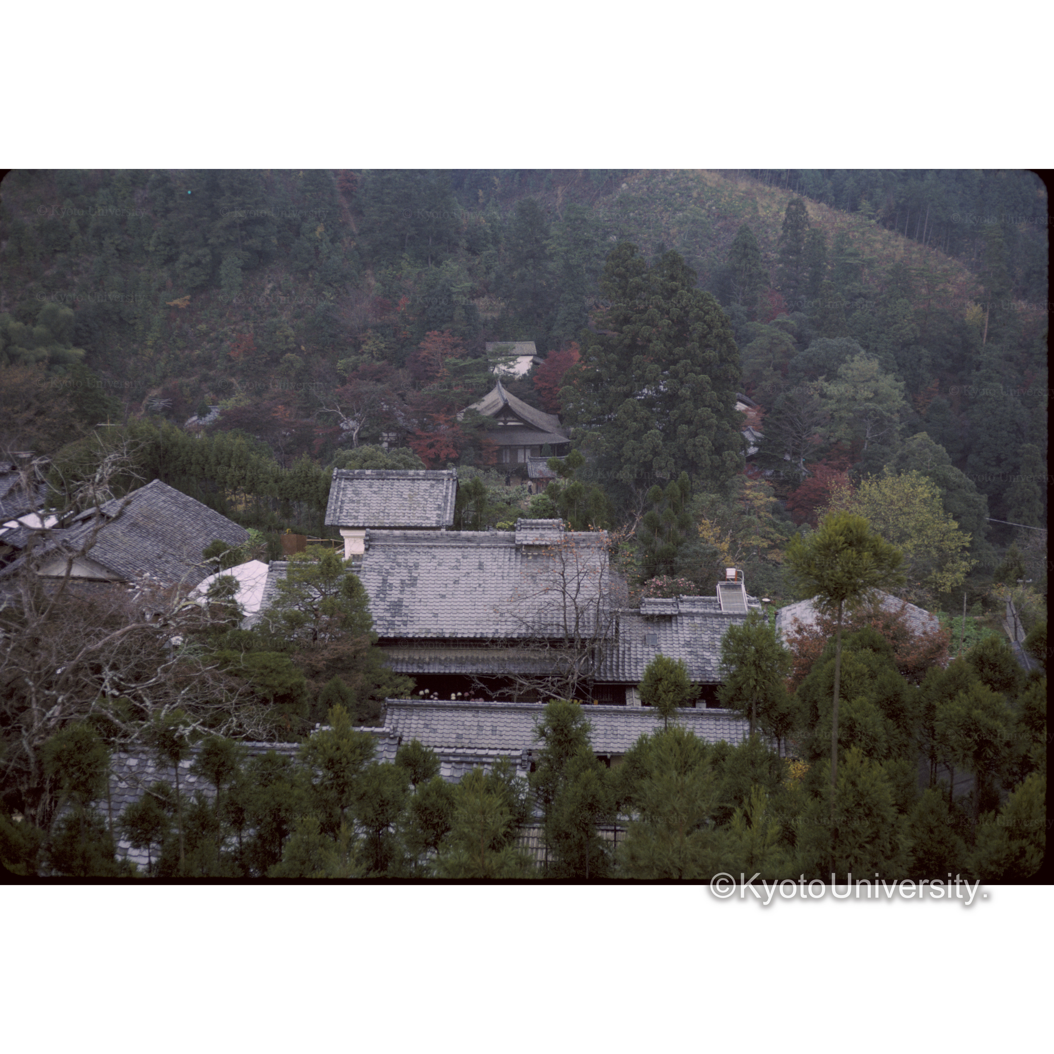 西山ハイウェー(西明寺） (1)