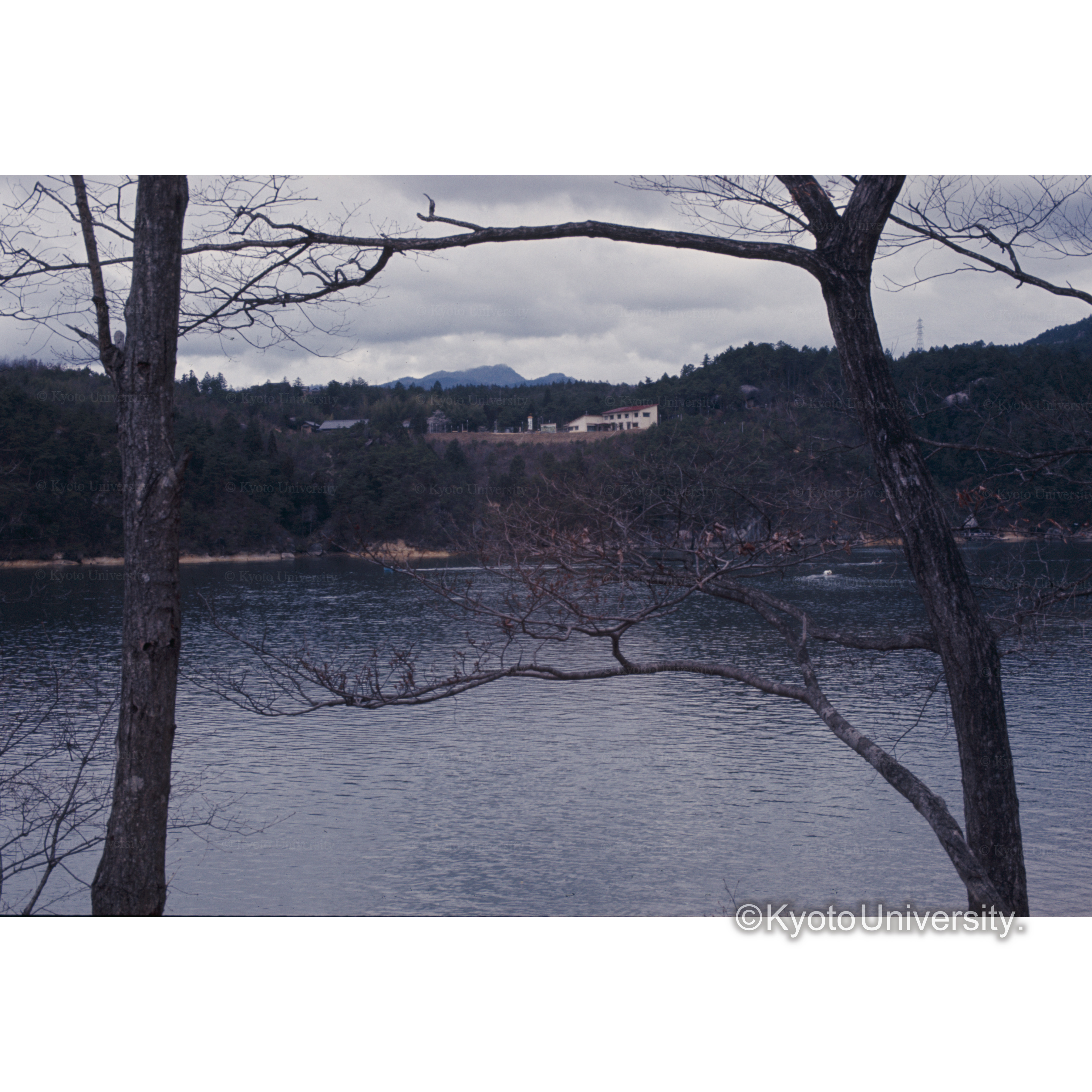 望川楼から木曽川を望む（美濃加茂市太田町） (1)