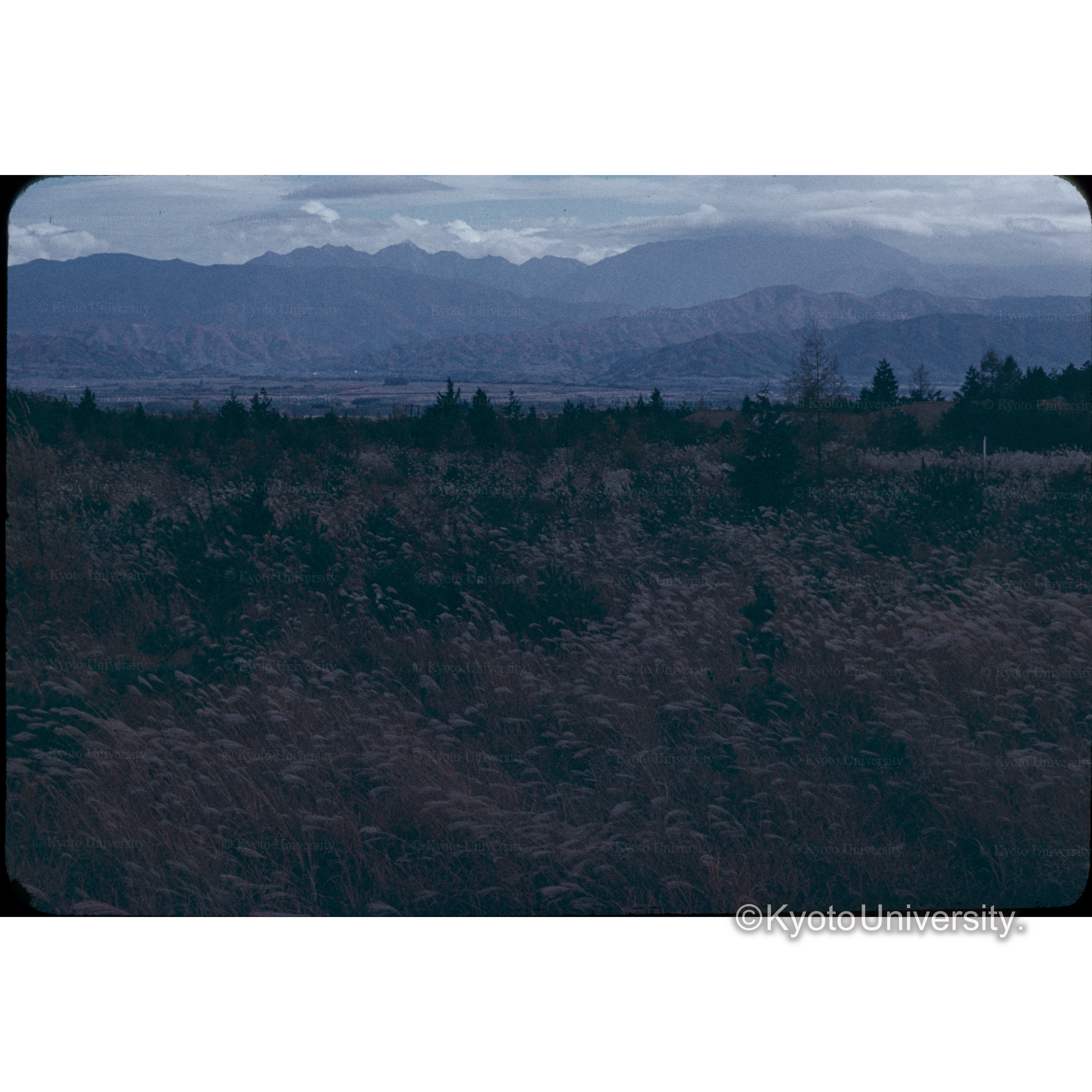 ススキガ原信大農学部 (1)