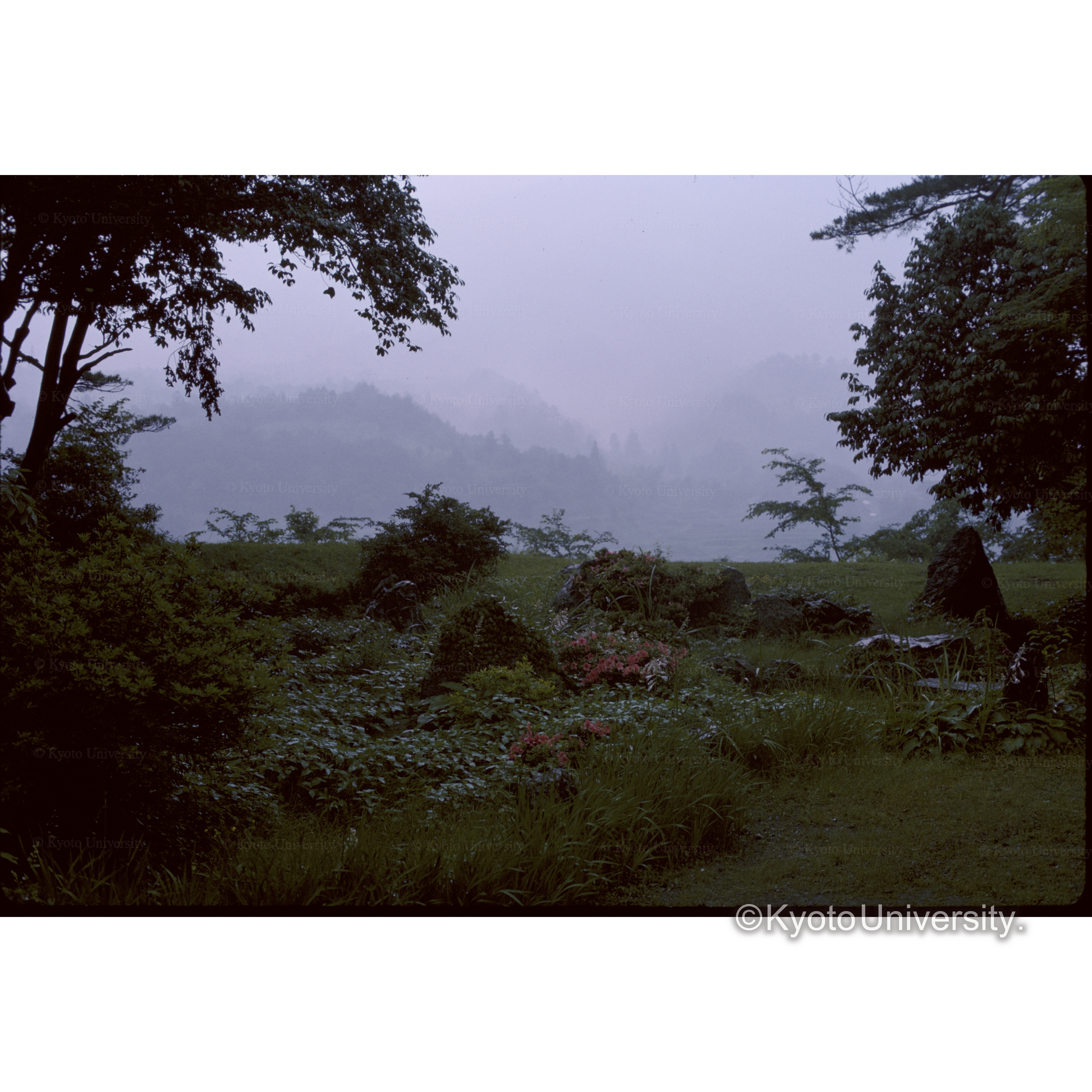 旧秀隣寺庭園(クツキ) (1)