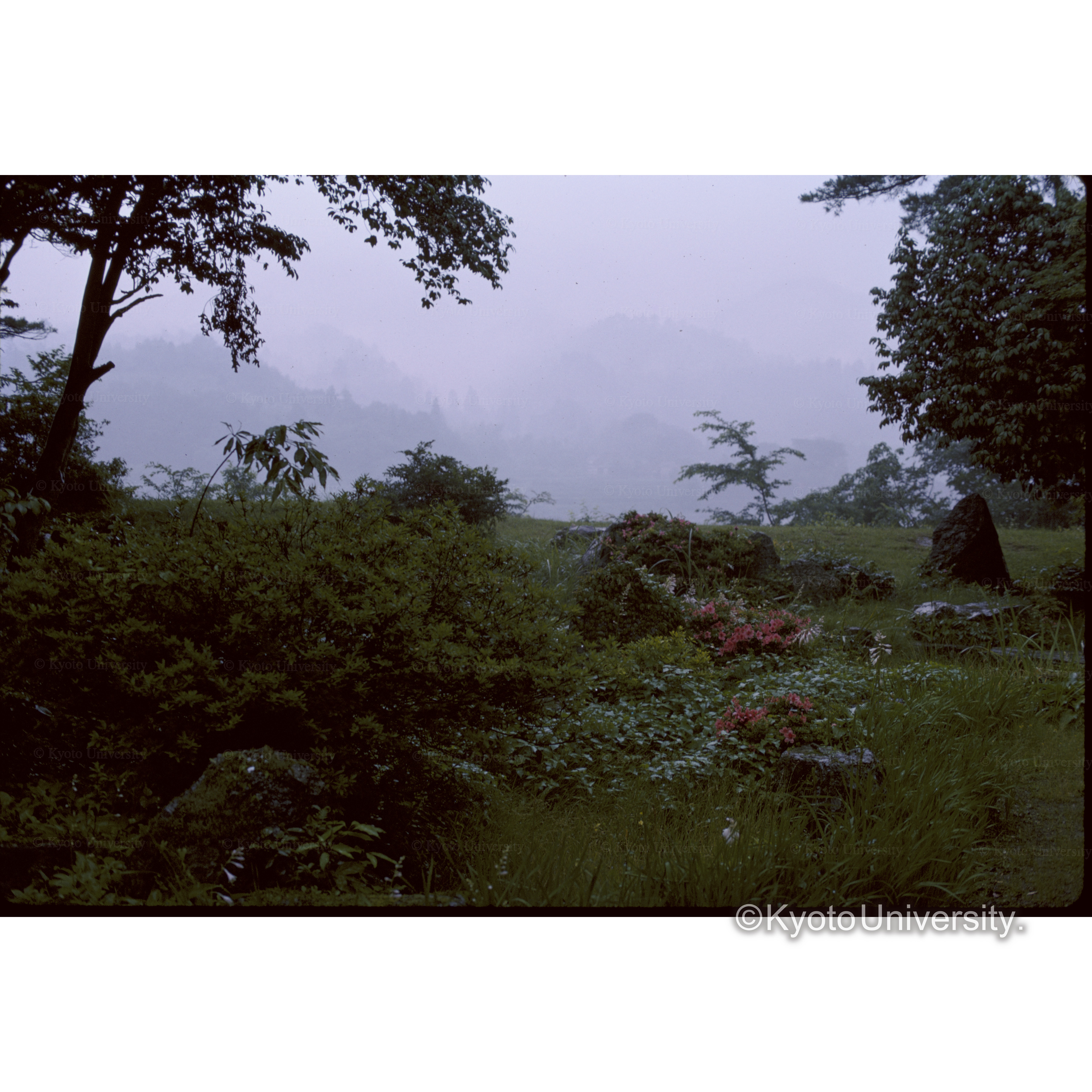 旧秀隣寺庭園 (1)